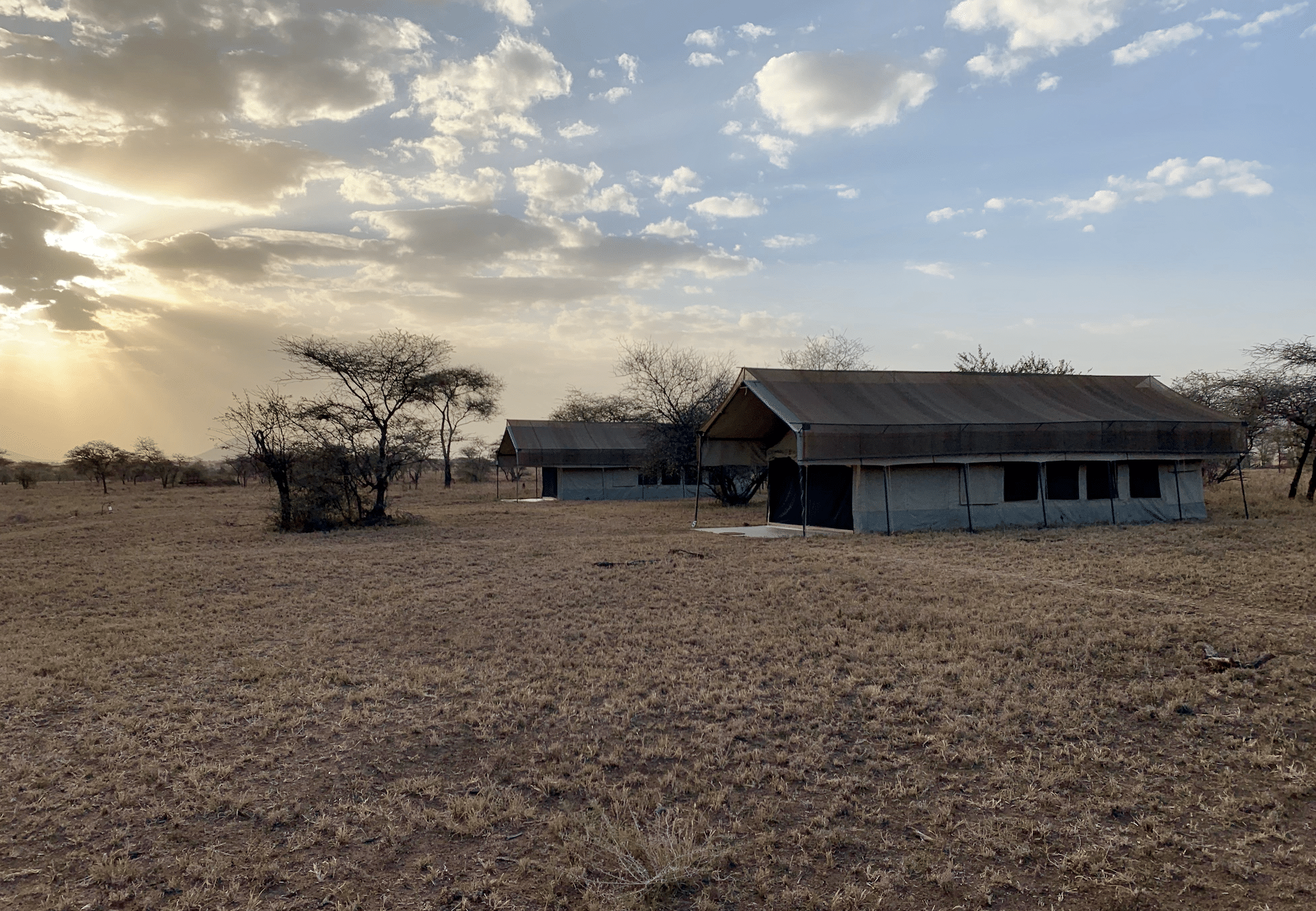 le thorn tree camp dans le parc du serengeti