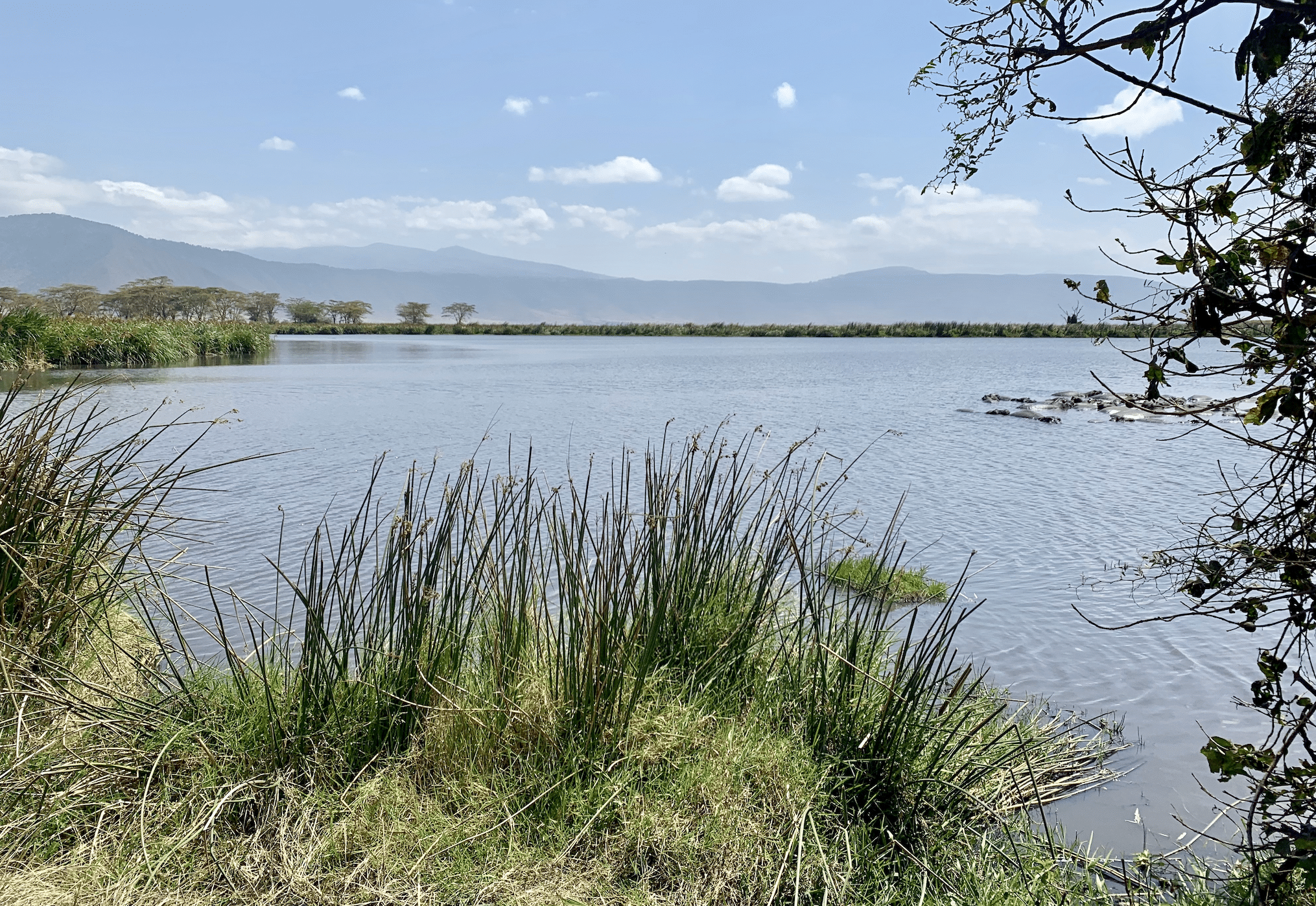 safari en tanzanie : les paysages dans le cratere du ngorongoro