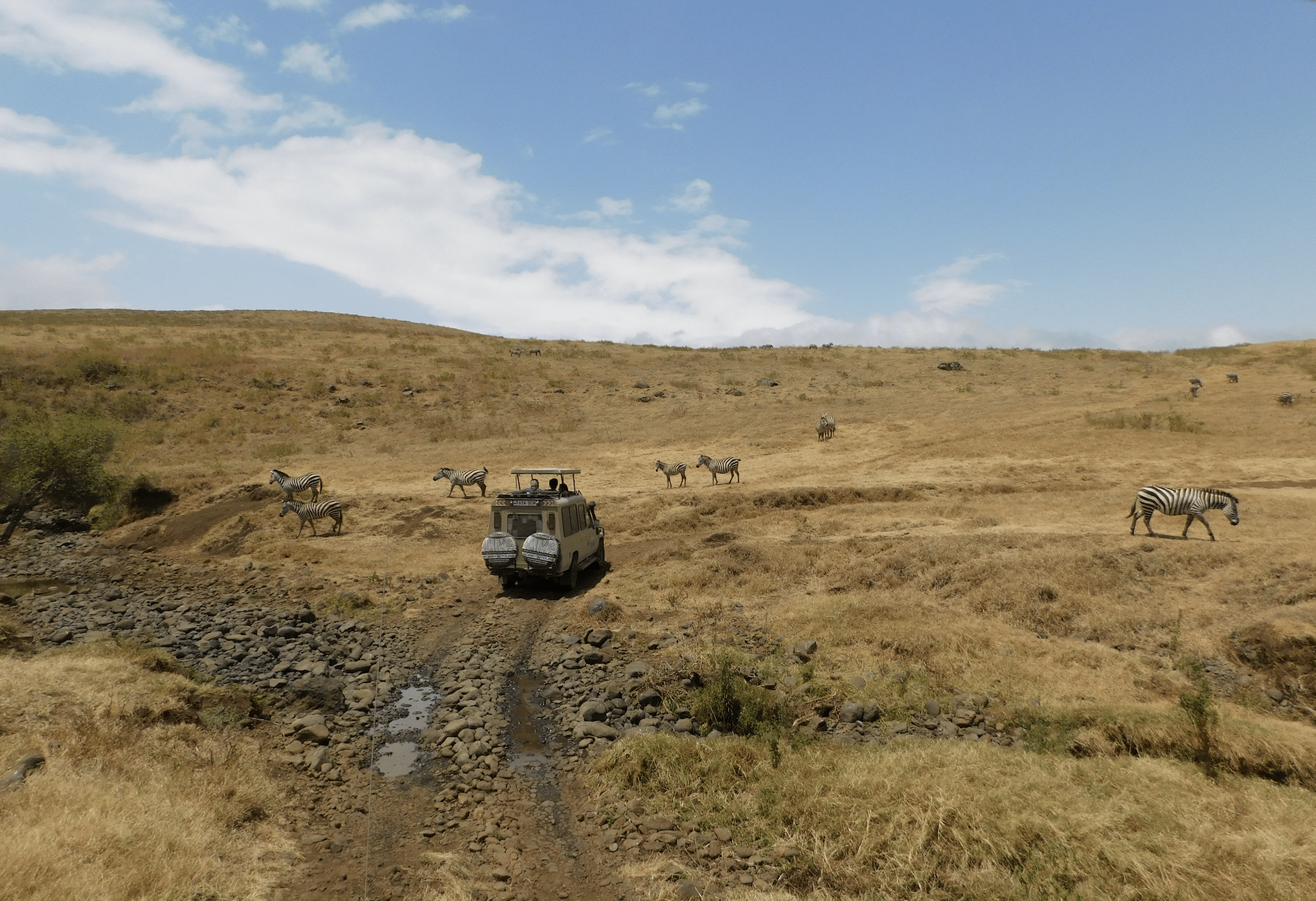 paysages du cratere du ngorongoro