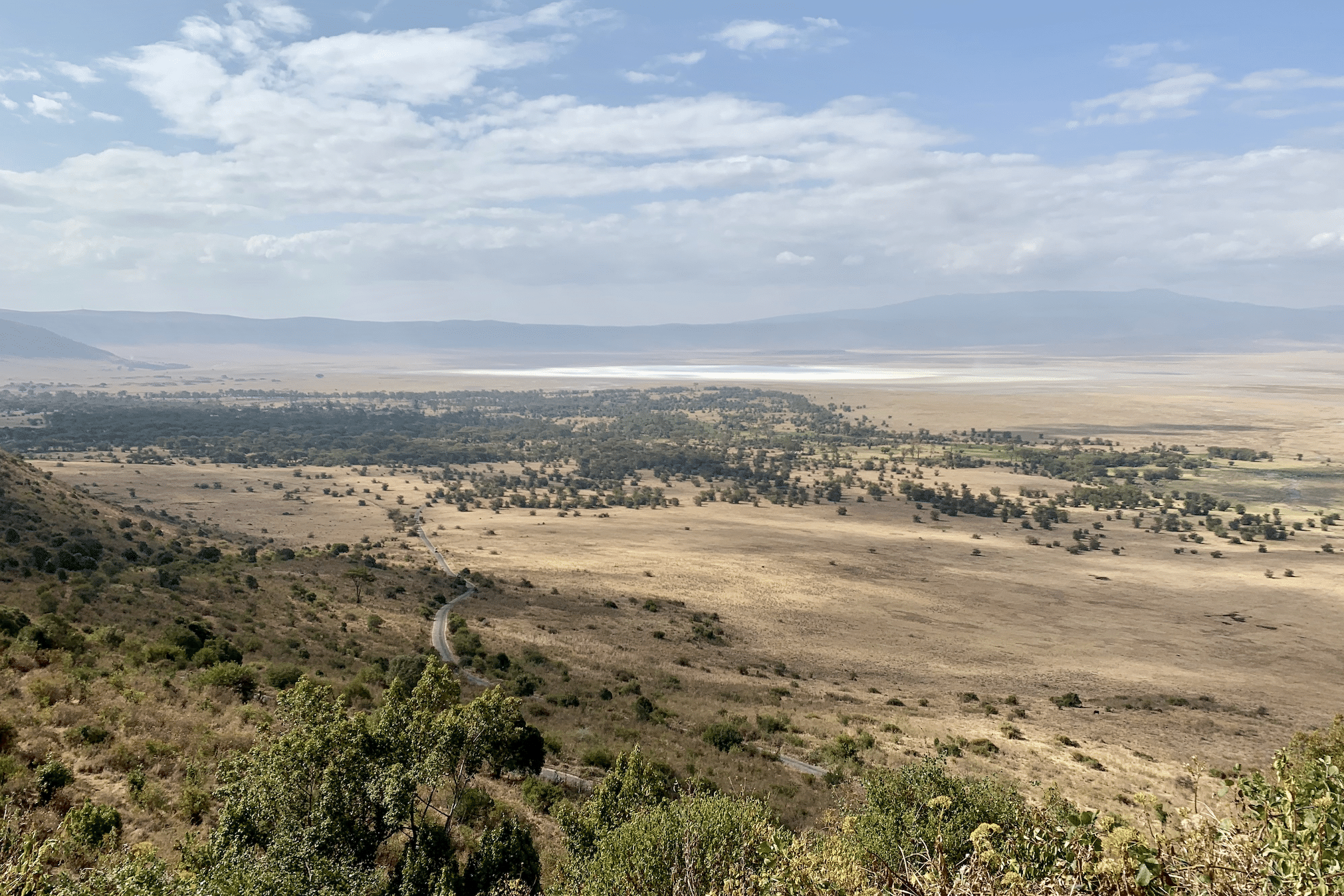 safari en tanzanie : vue sur le cratere du ngorongoro