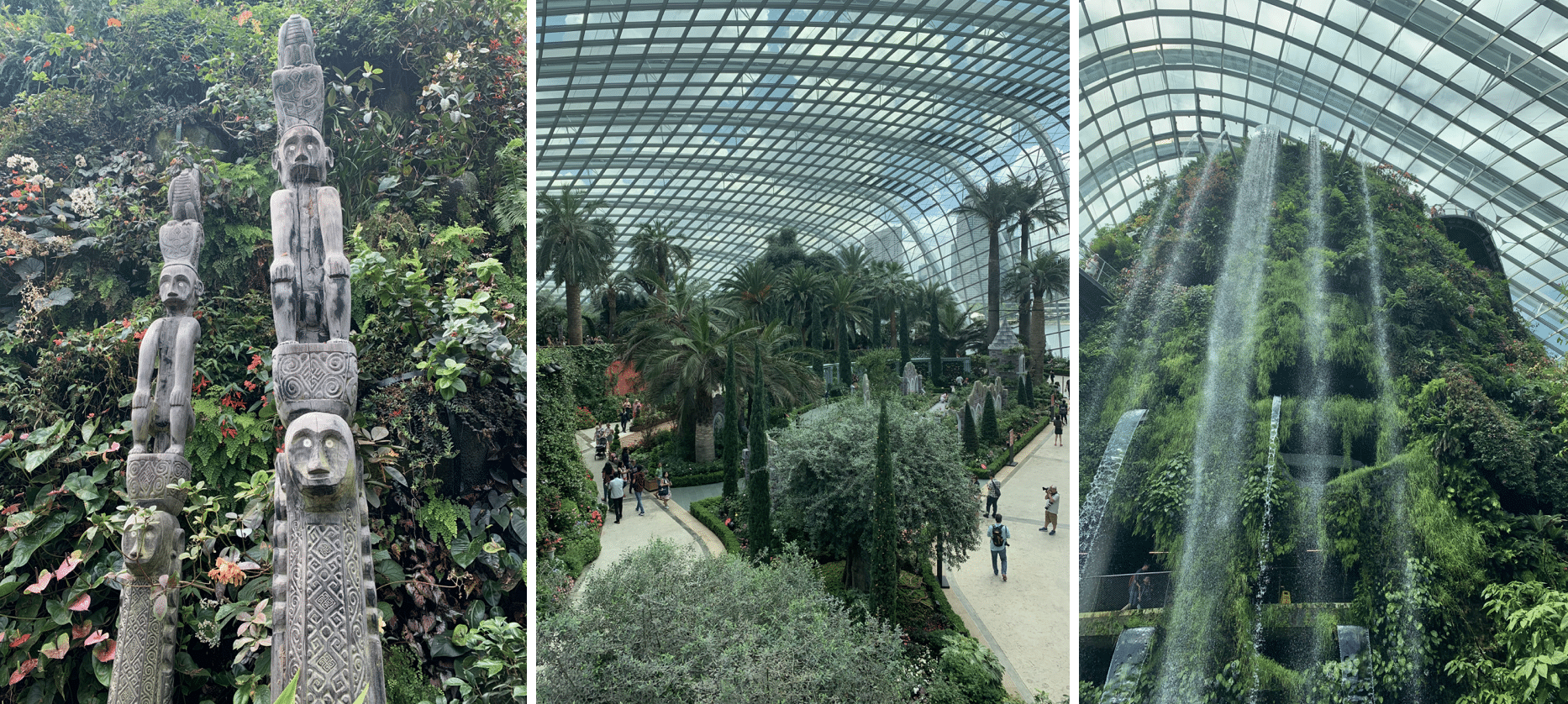 les serres dans les jardins botaniques de singapour