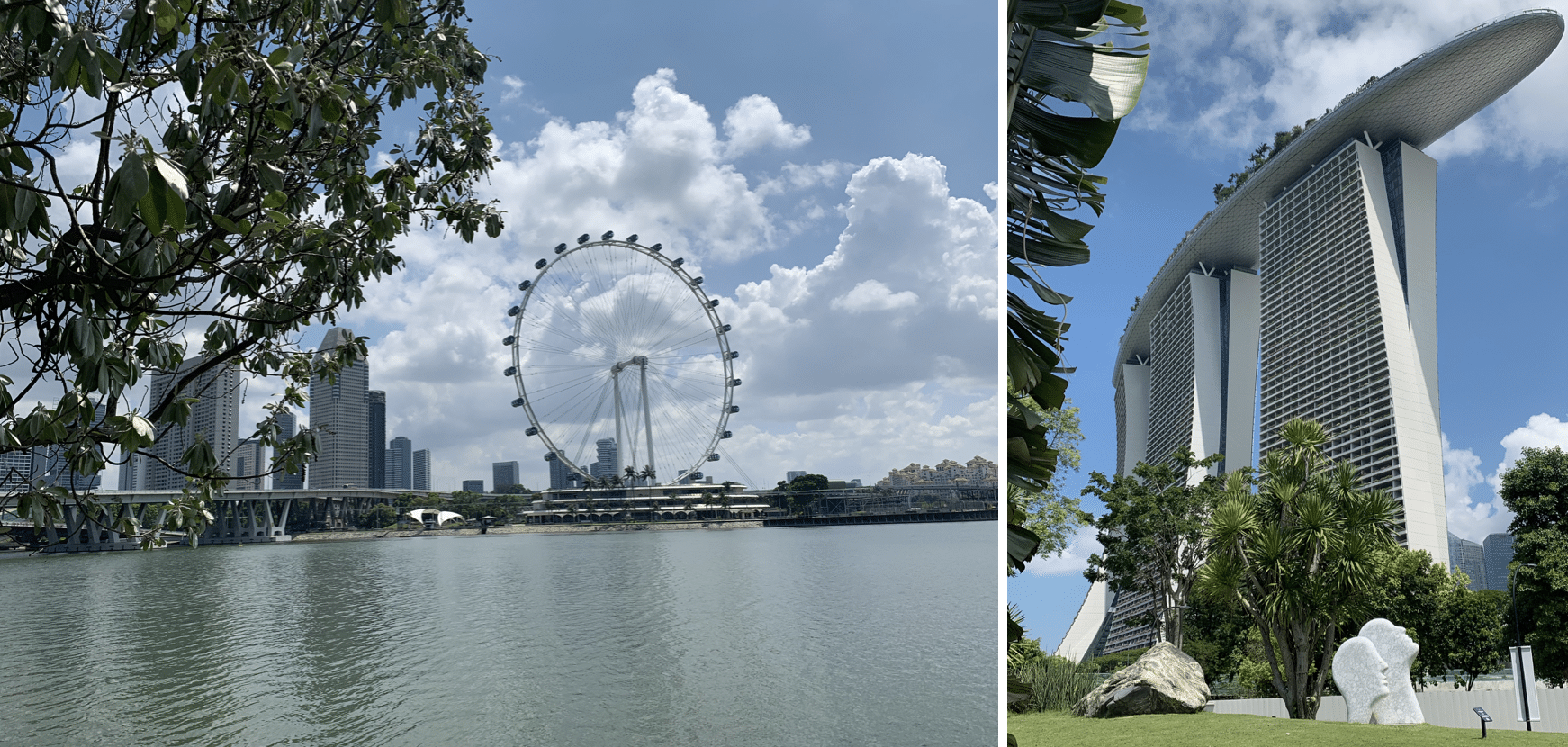 visiter singapour : les jardins botaniques