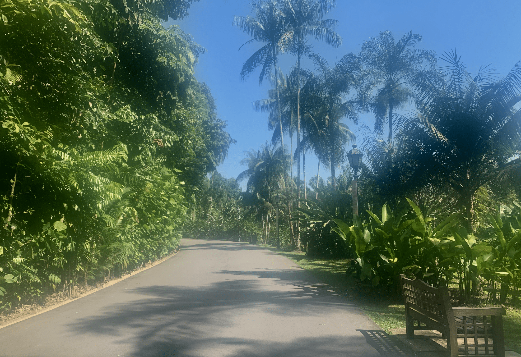 les jardins botaniques de singapour