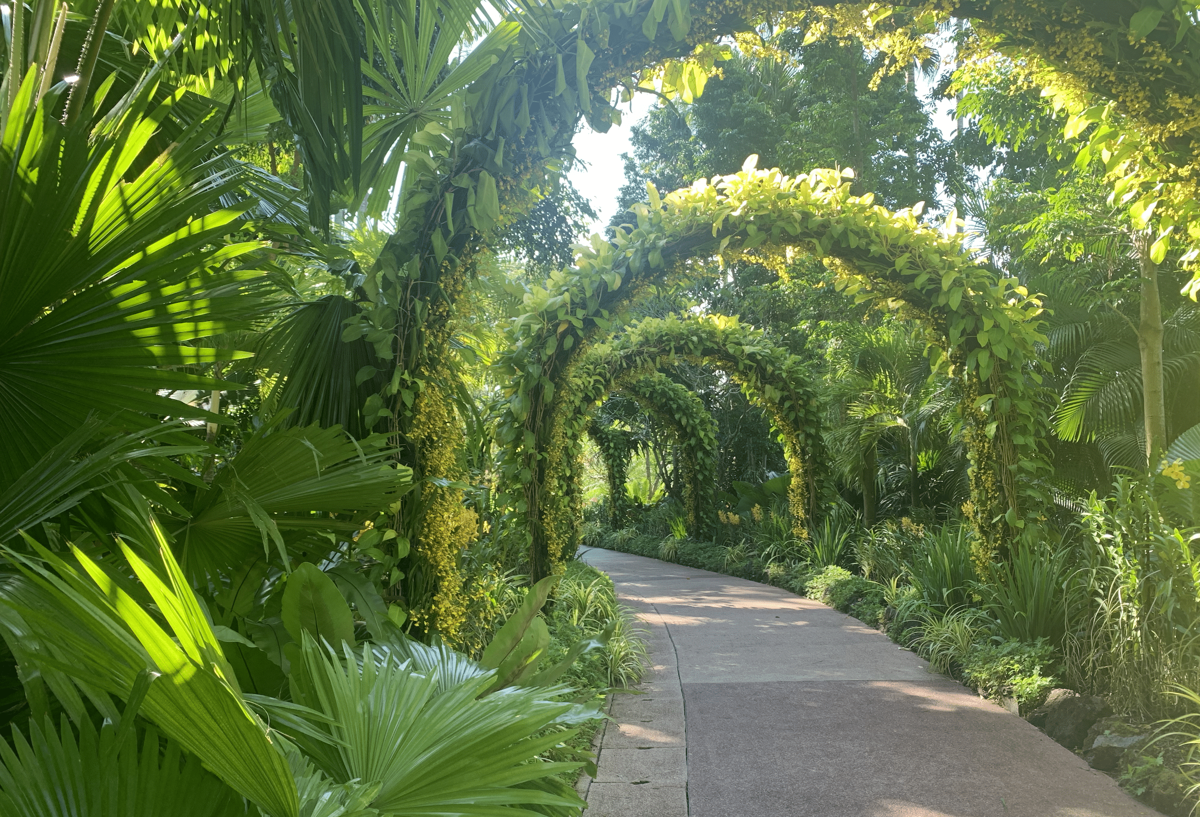 les jardins botaniques de singapour