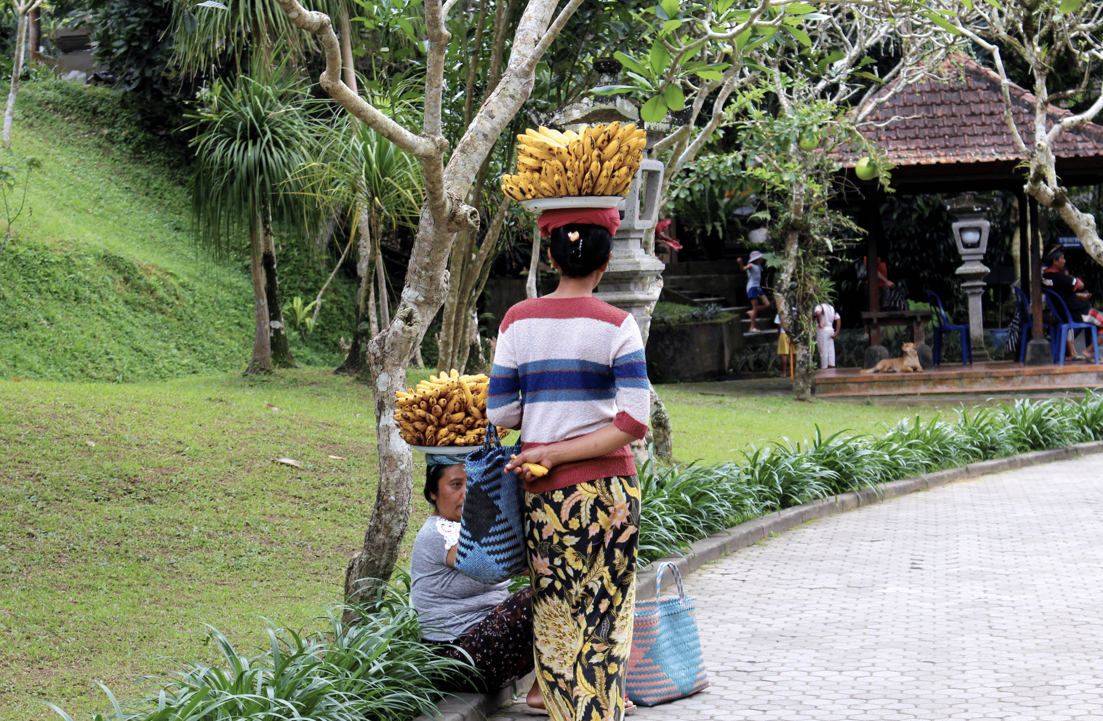 femmes balinaises portant des bananes