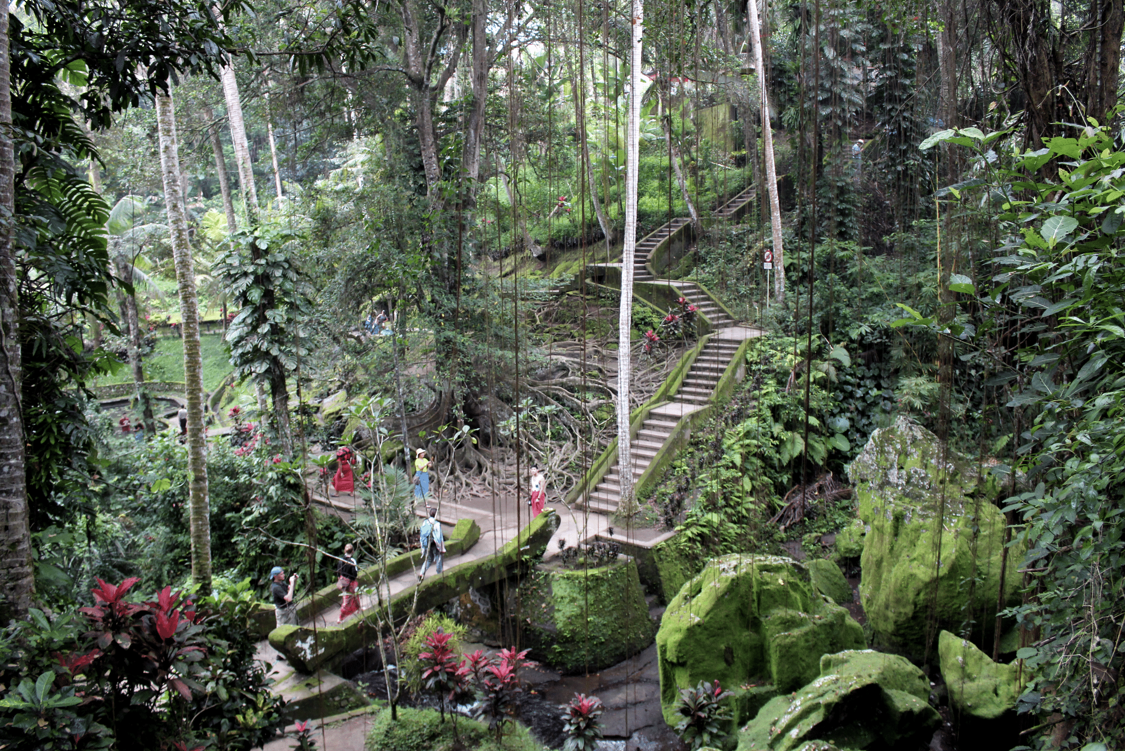 jardins pres du gunung kawi