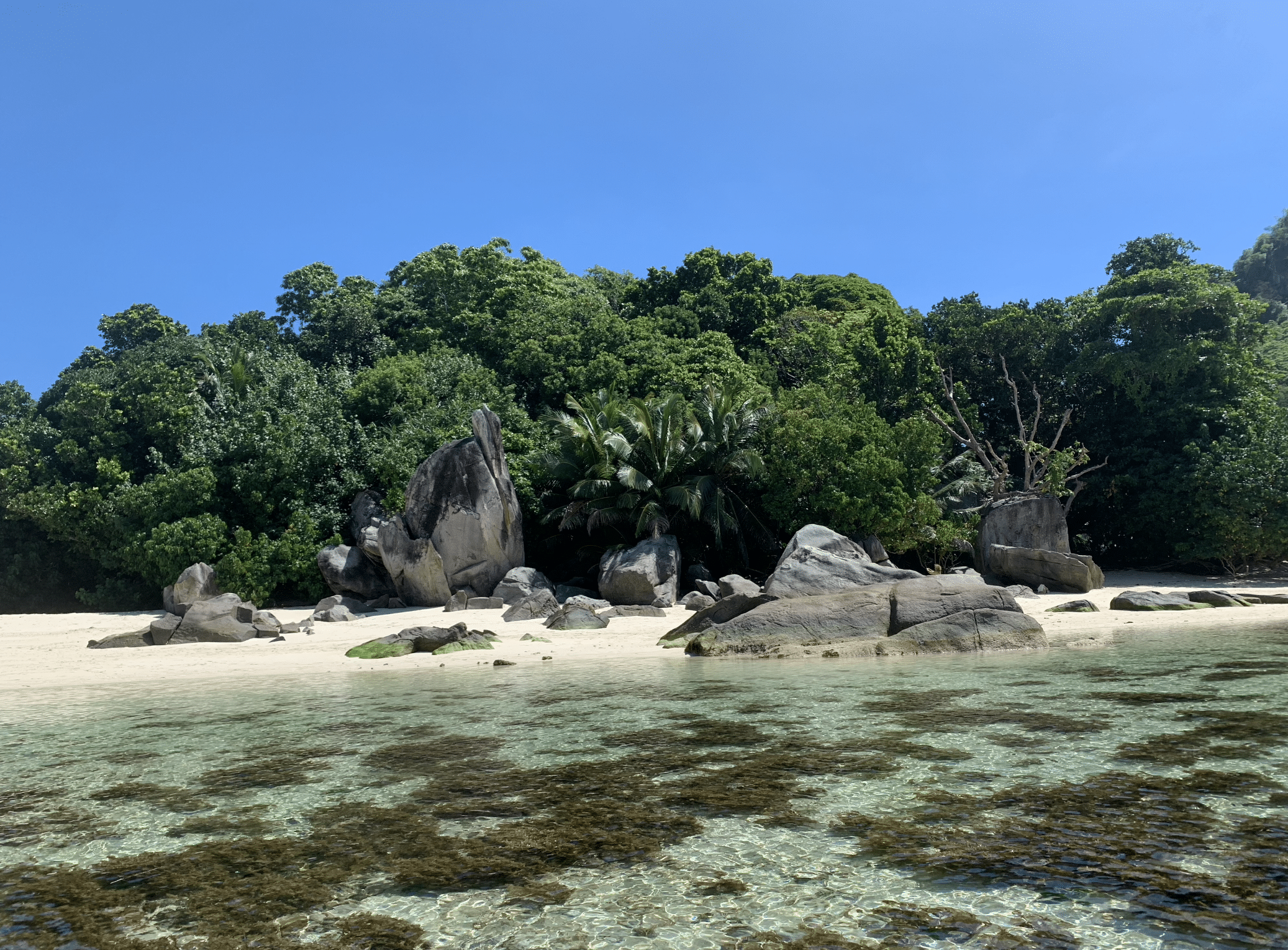 rochers de granite sur la plage du club med seychelles