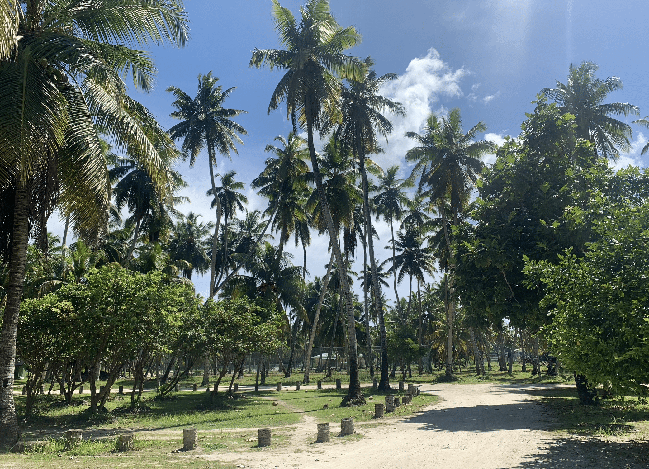 cocotiers au parc de l'union estate a la digue