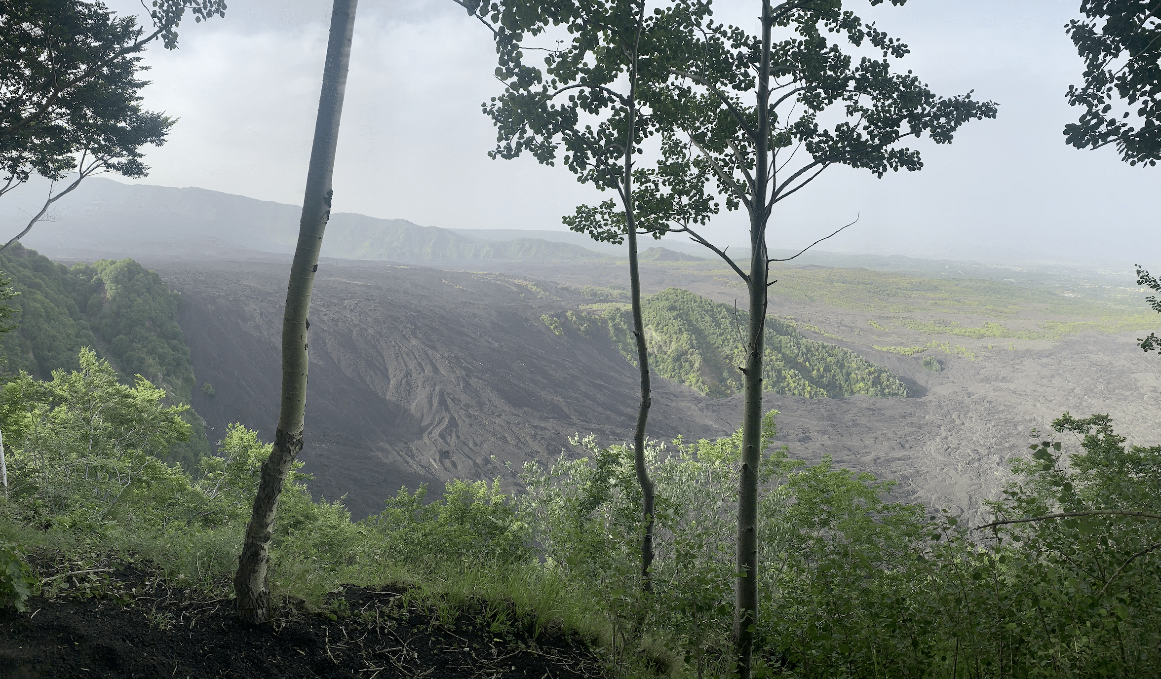 excursion sur l'etna : paysages de la vallee du boeuf 