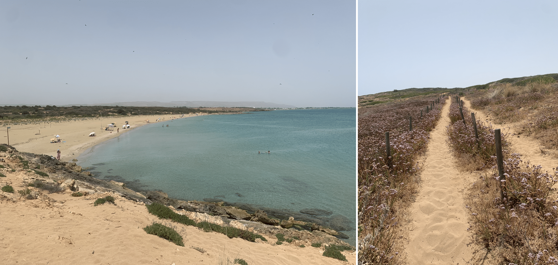 plus belles plages de sicile : la reserve naturelle de vendicari