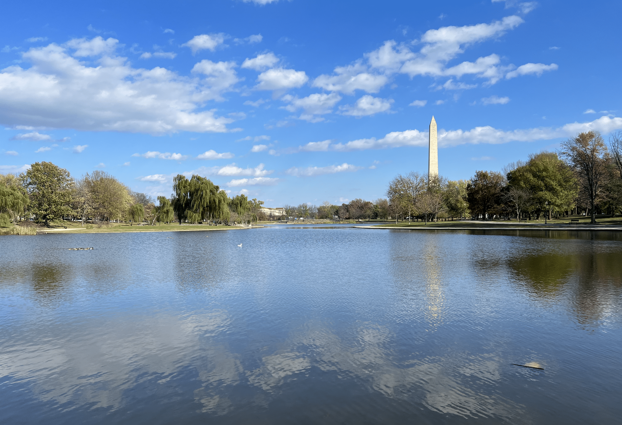 vue sur le washington monument depuis les constitution gardens
