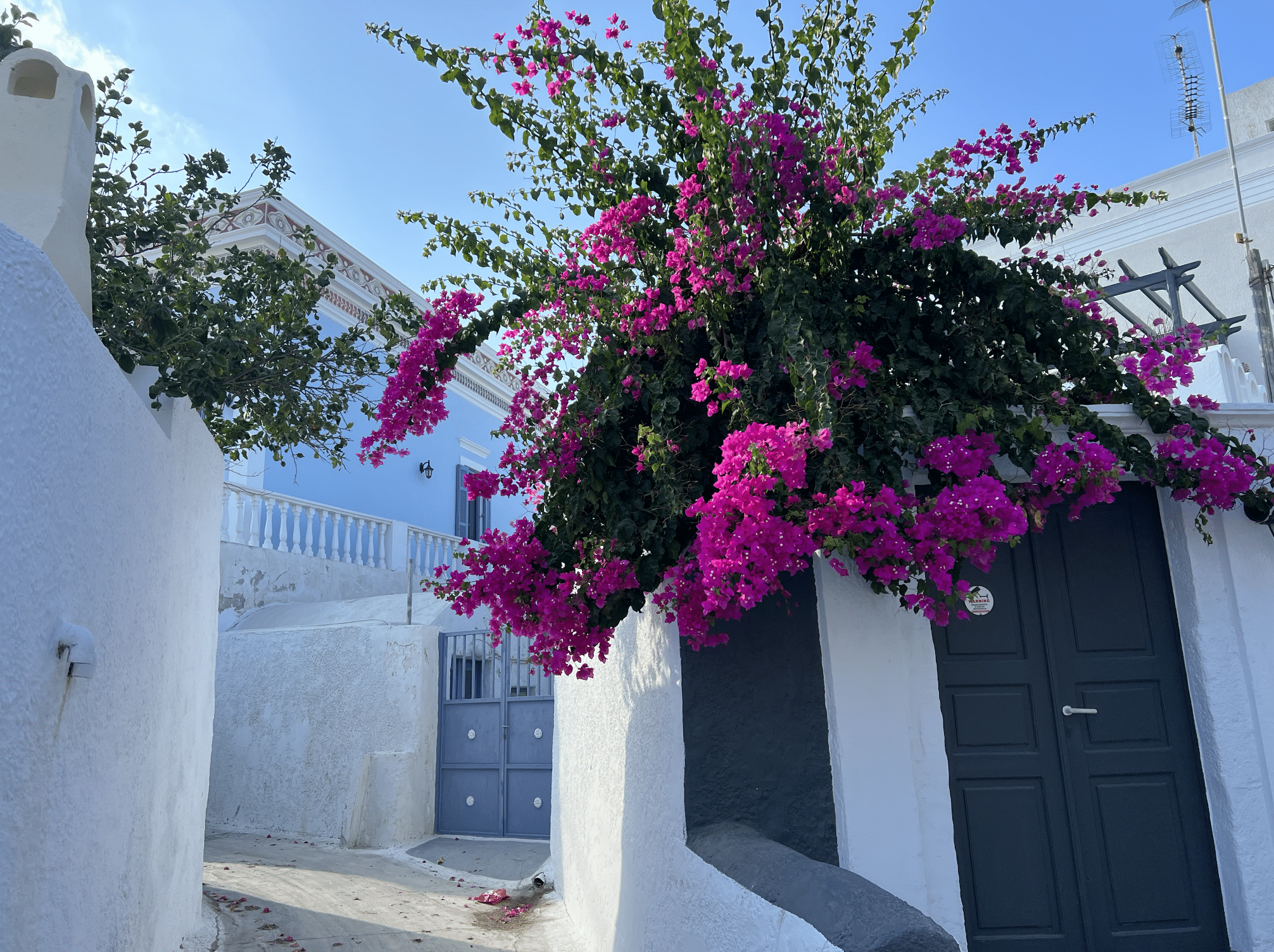 ruelle typique dans le village de karterados a santorin en grece
