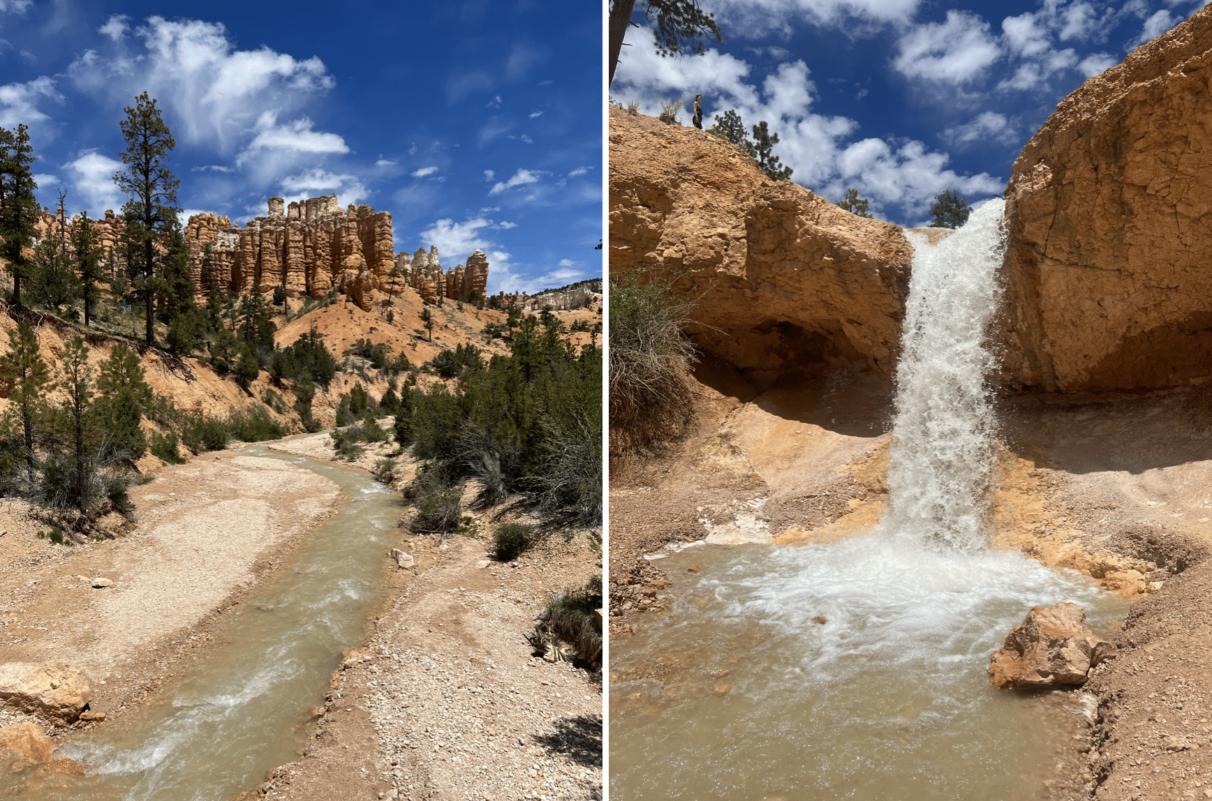 road trip dans l utah : mossy cave dans le bryce canyon