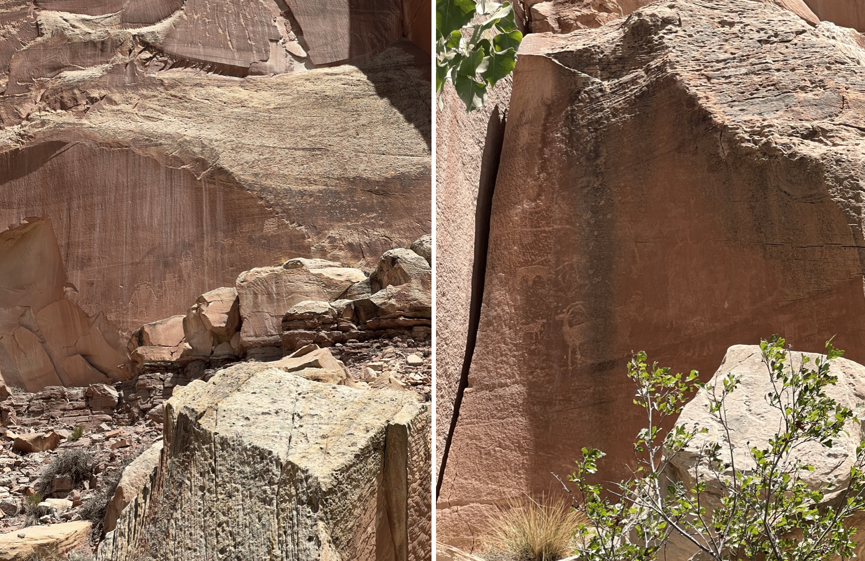 petroglyphes sur les falaises dans le capitol reef national park