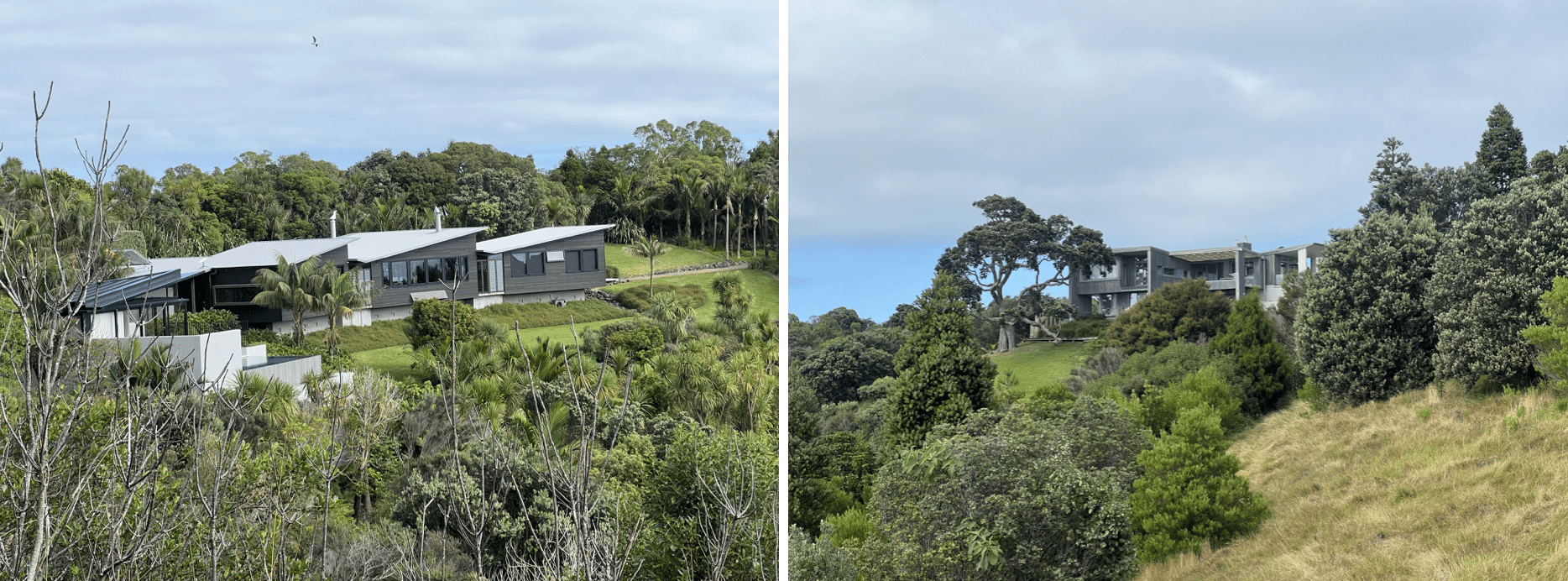 belles maisons sur waiheke island en nouvelle zelande