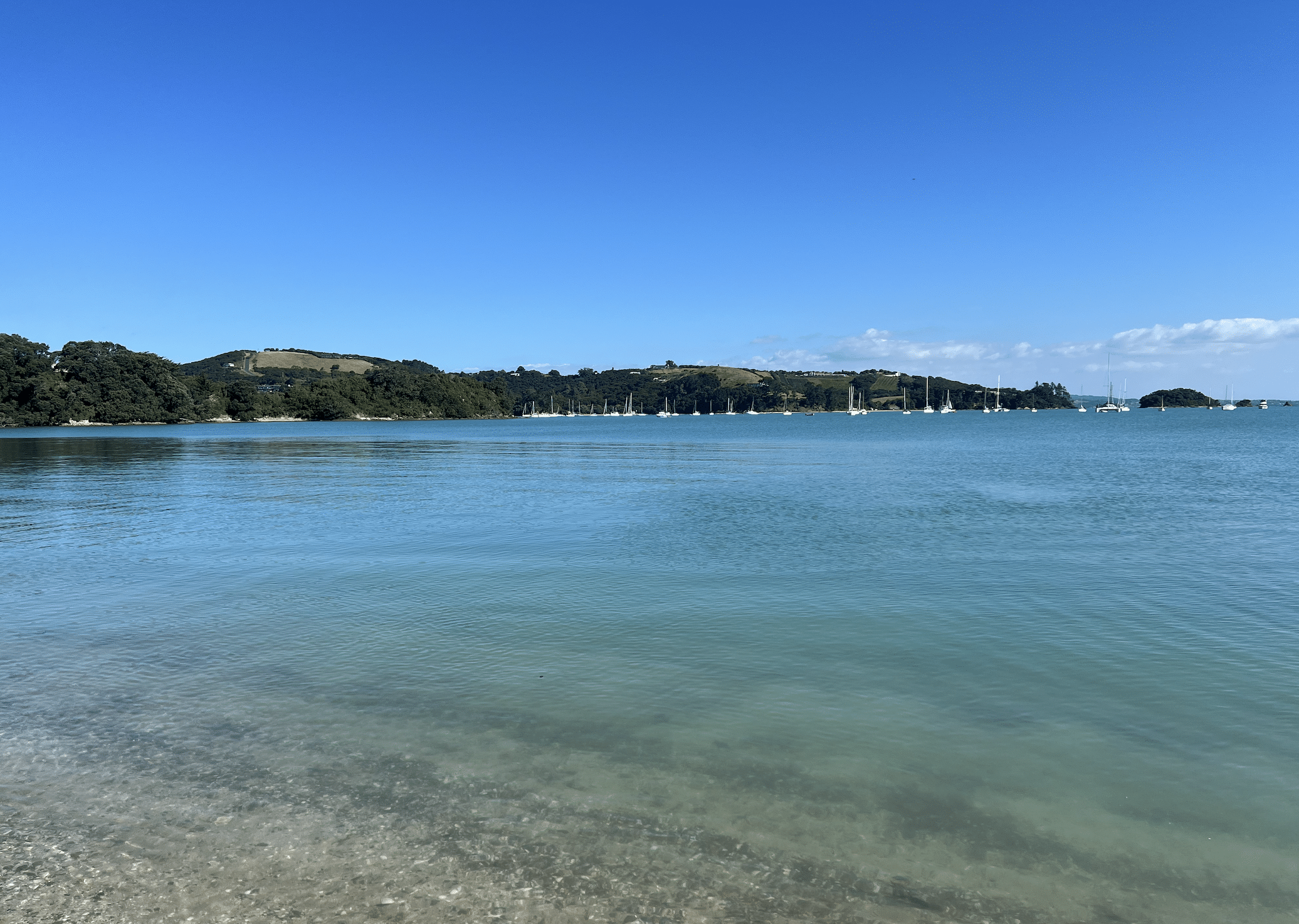 shelley beach reserve sur l ile de waiheke