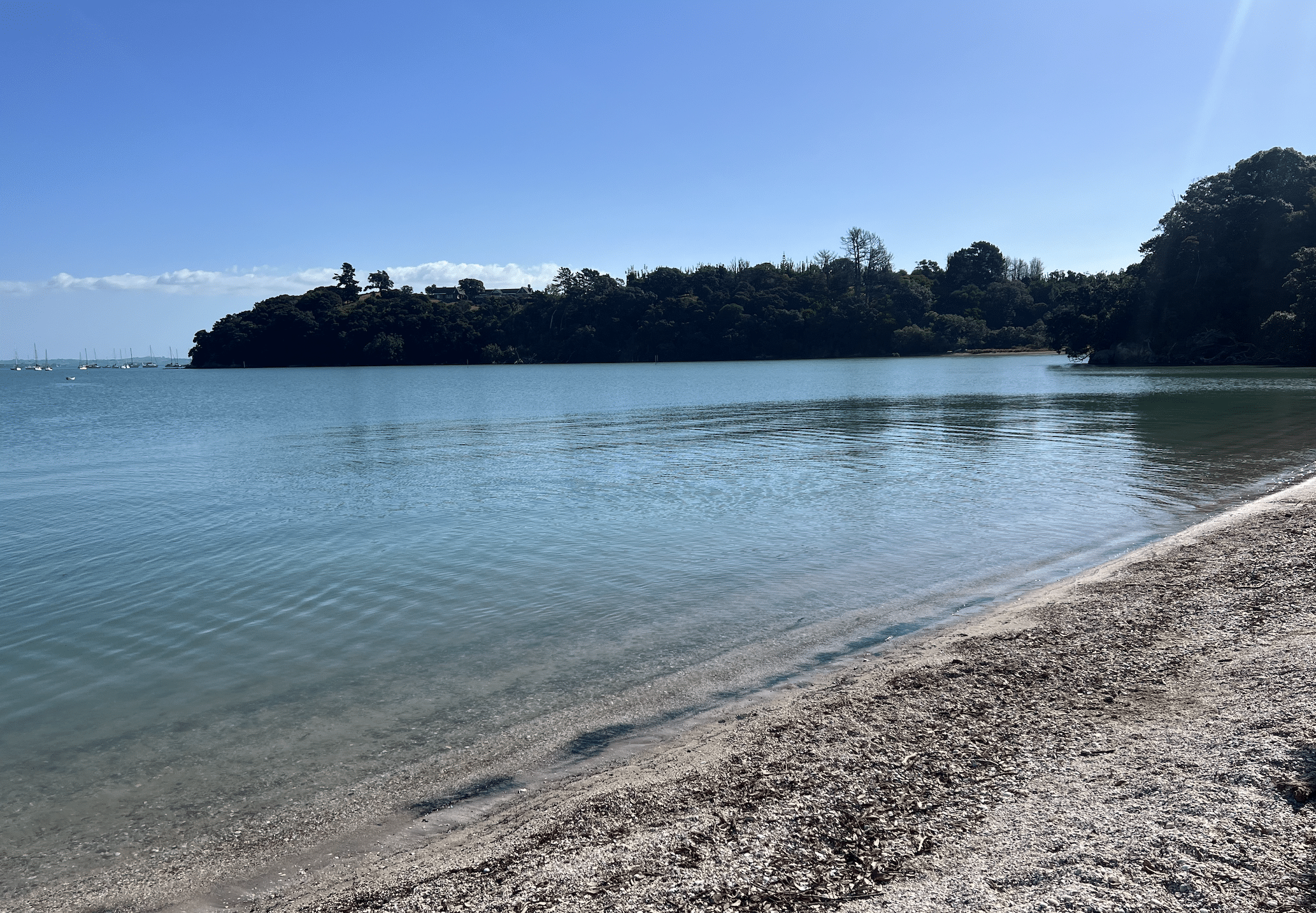 shelley beach reserve a waiheke island