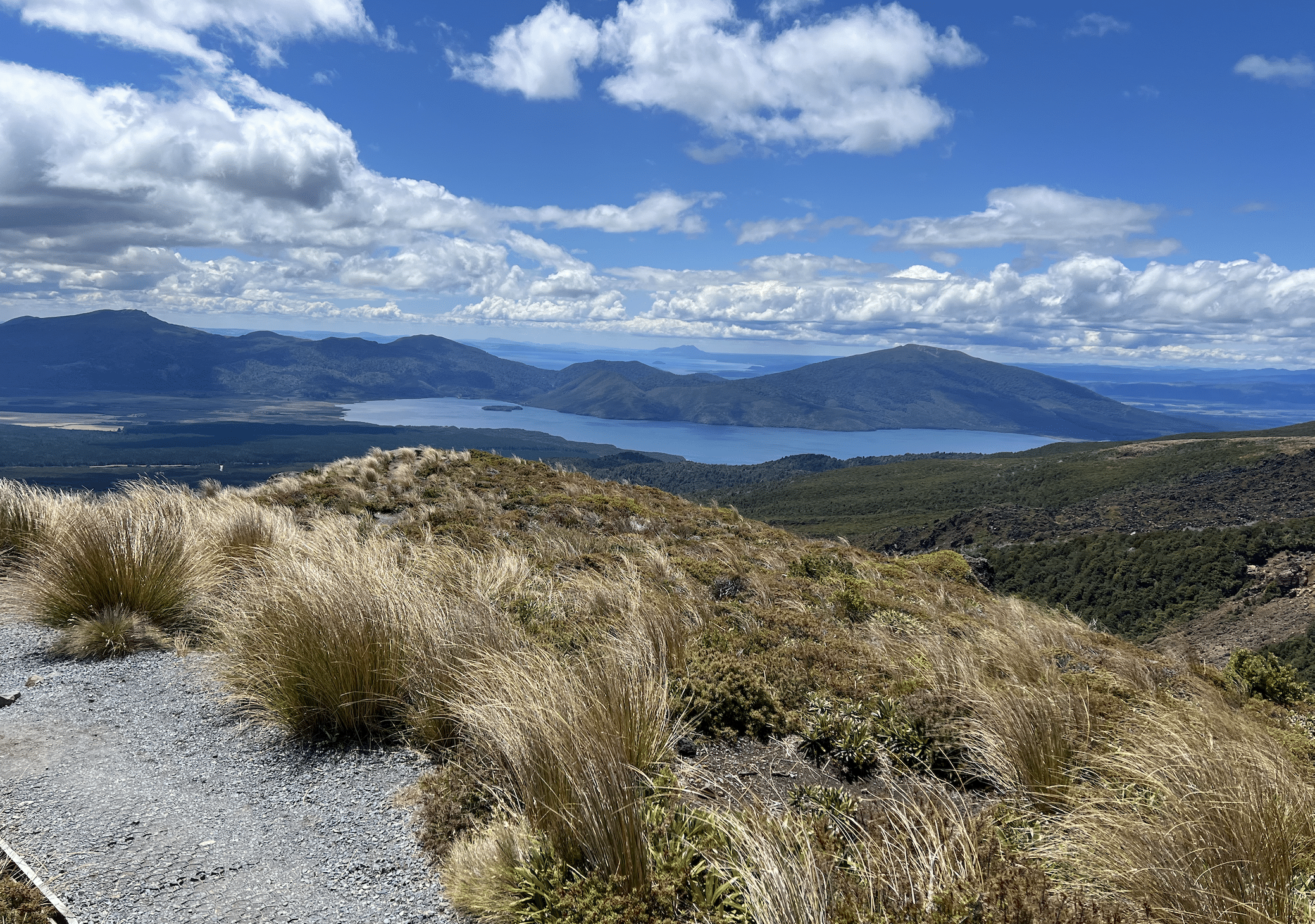 panorama sur le flanc nord du volcan au tongariro alpine crossing en nouvelle zelande