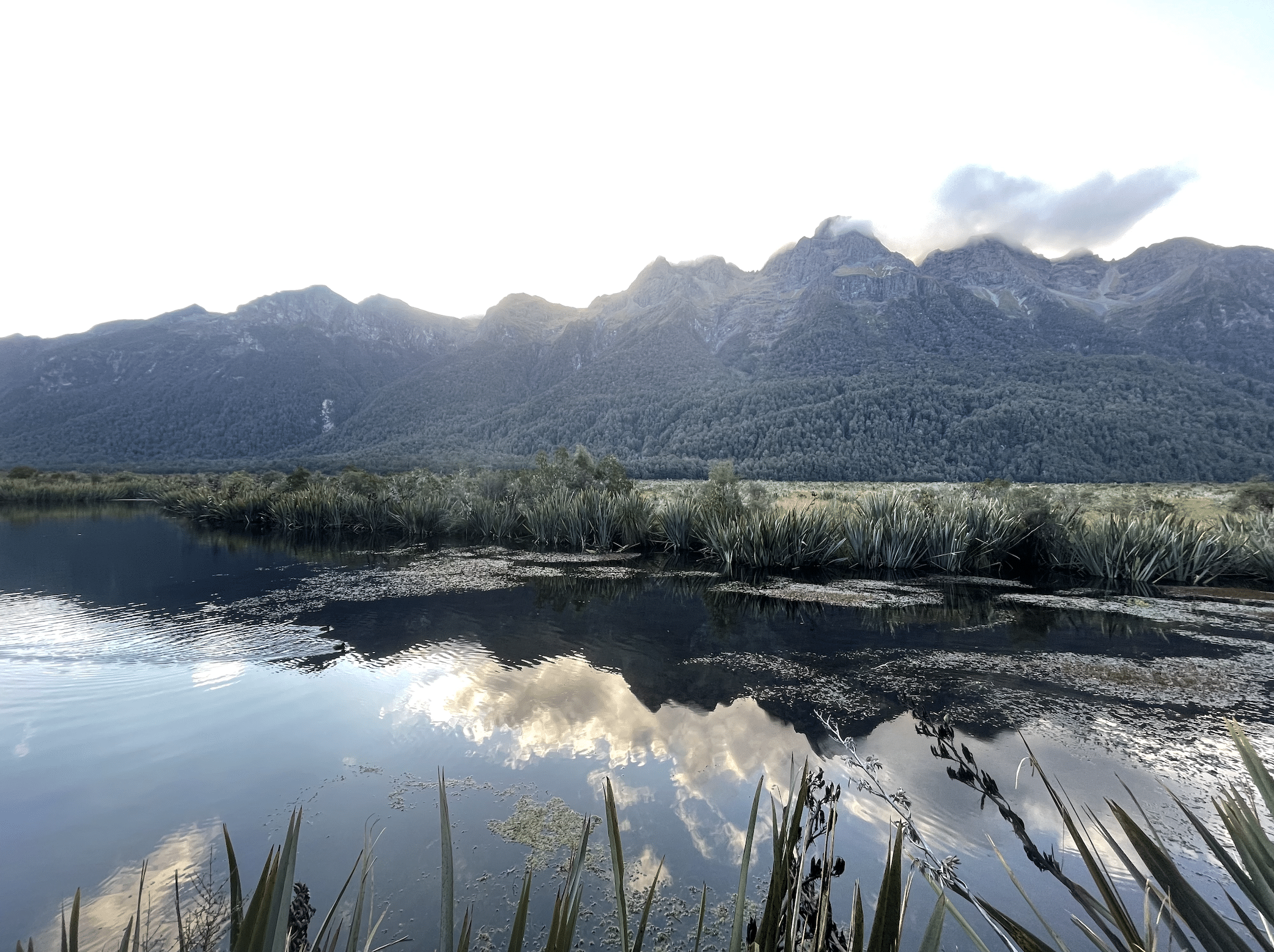 paysages du fiordland national park en nouvelle zelande