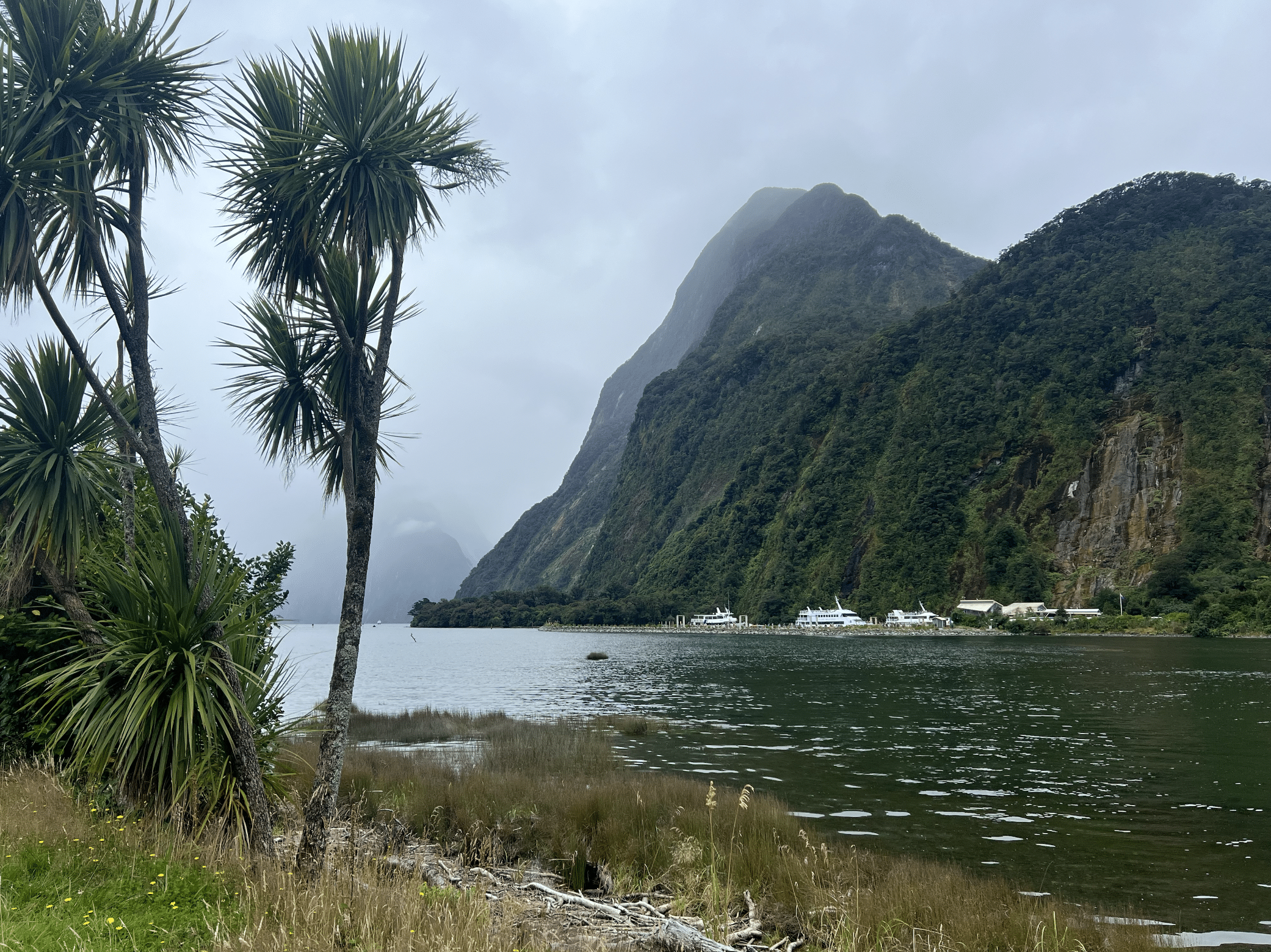 que faire lors d un circuit en nouvelle zelande : le milford sound