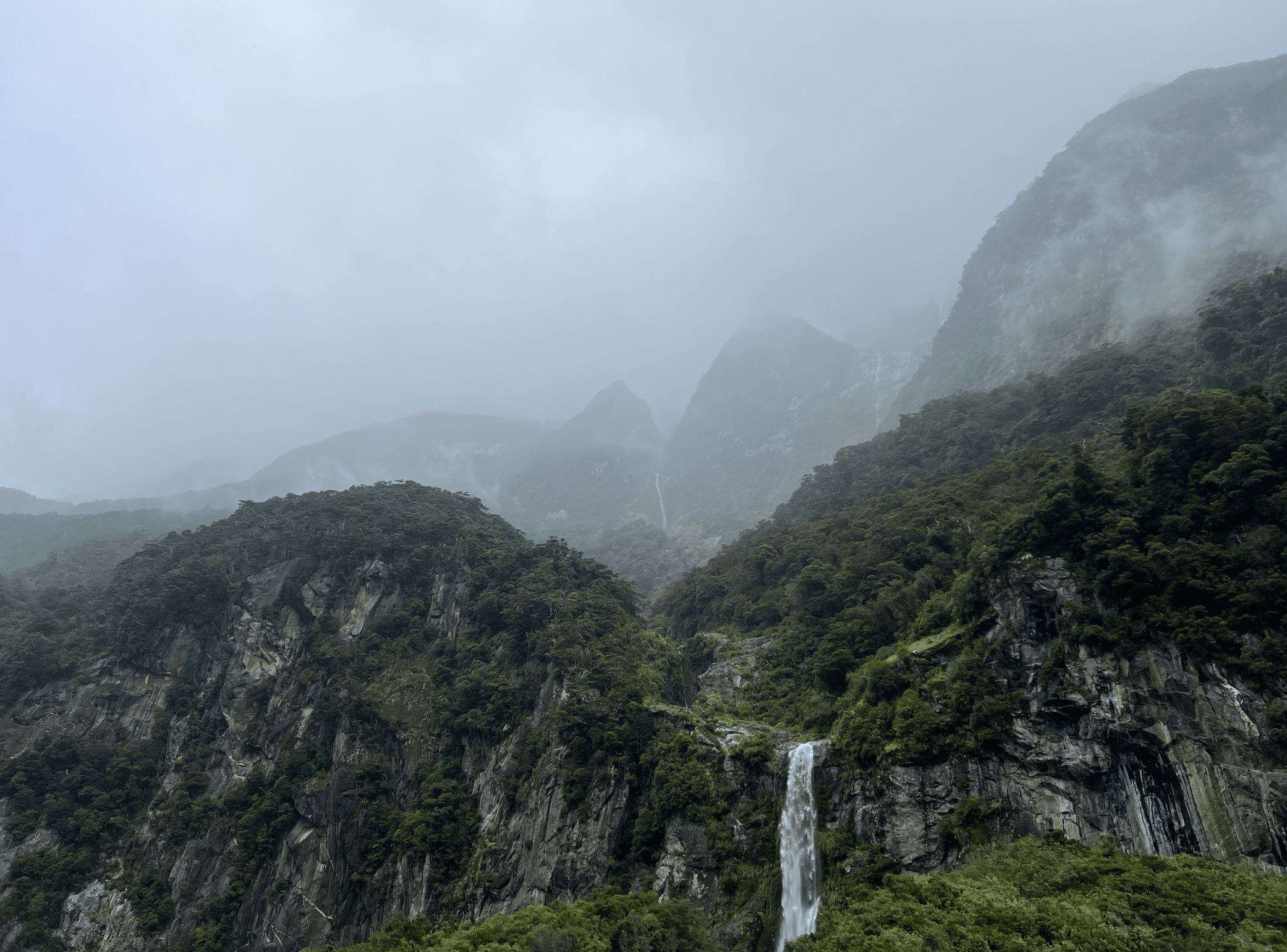 vegetation et cascade sur le milford sound