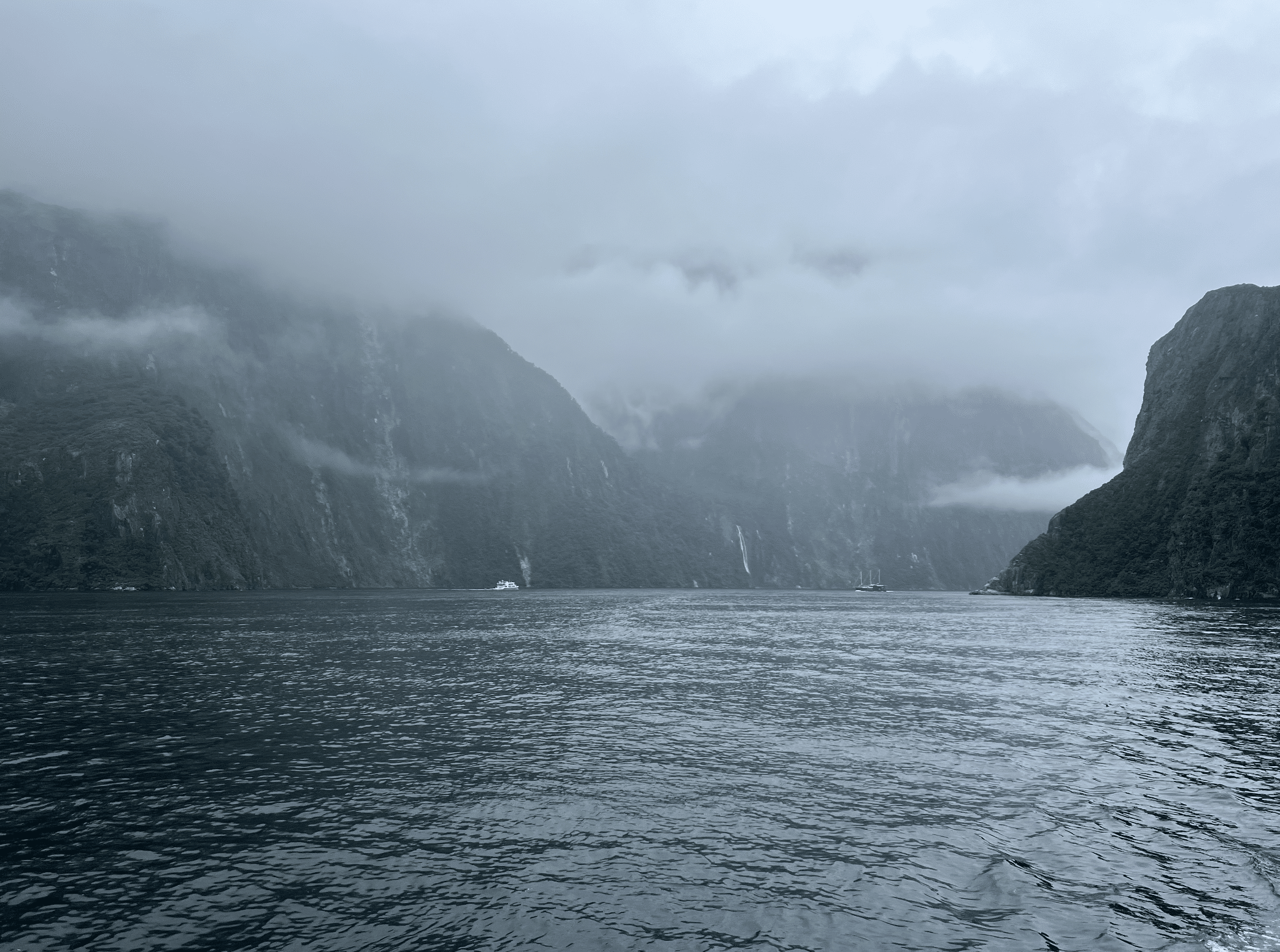 que faire lors d un circuit en nouvelle zelande : explorer les fjords du fiordland national park