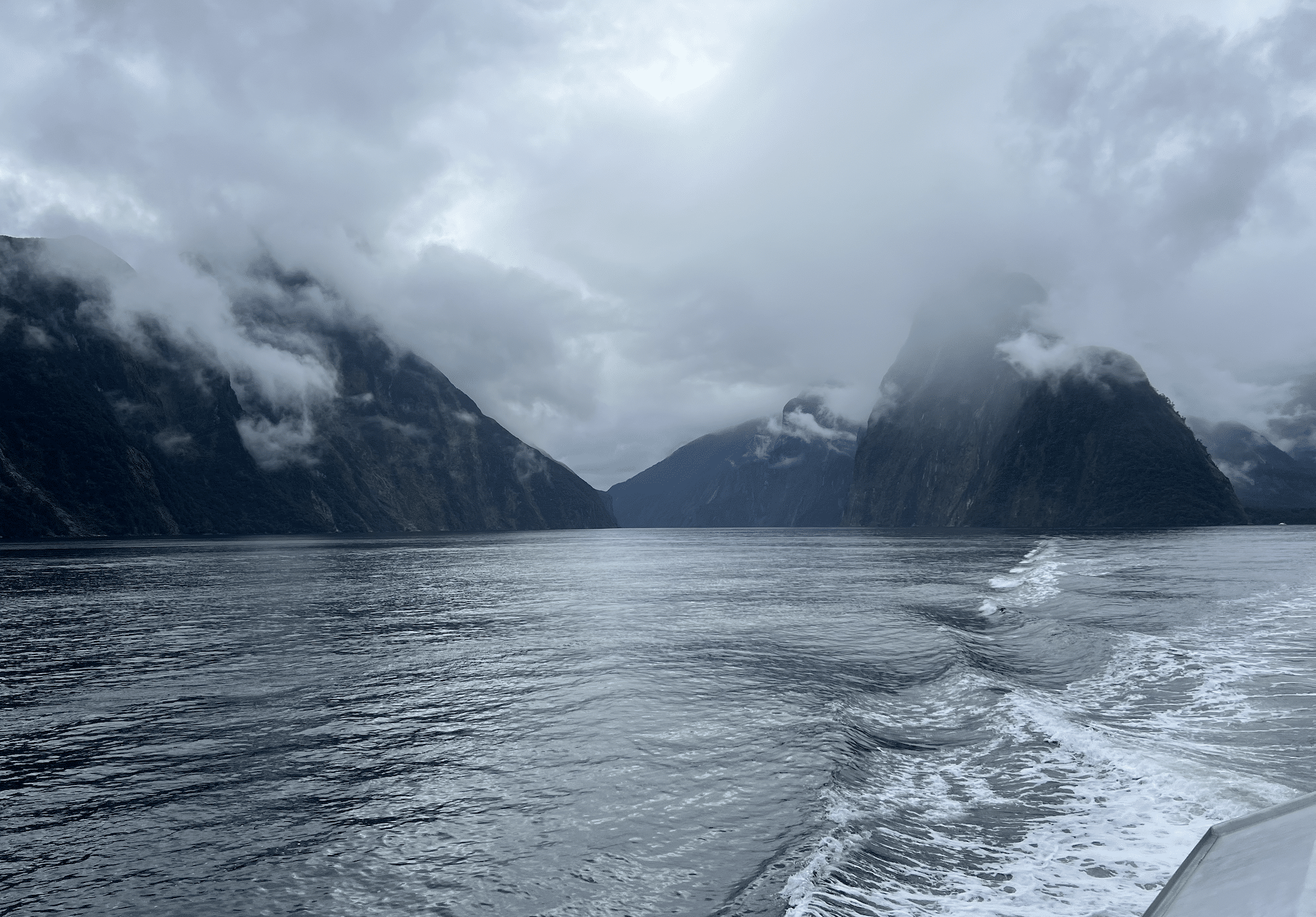 que faire lors d un circuit en nouvelle zelande : une croisiere sur le fjord de milford