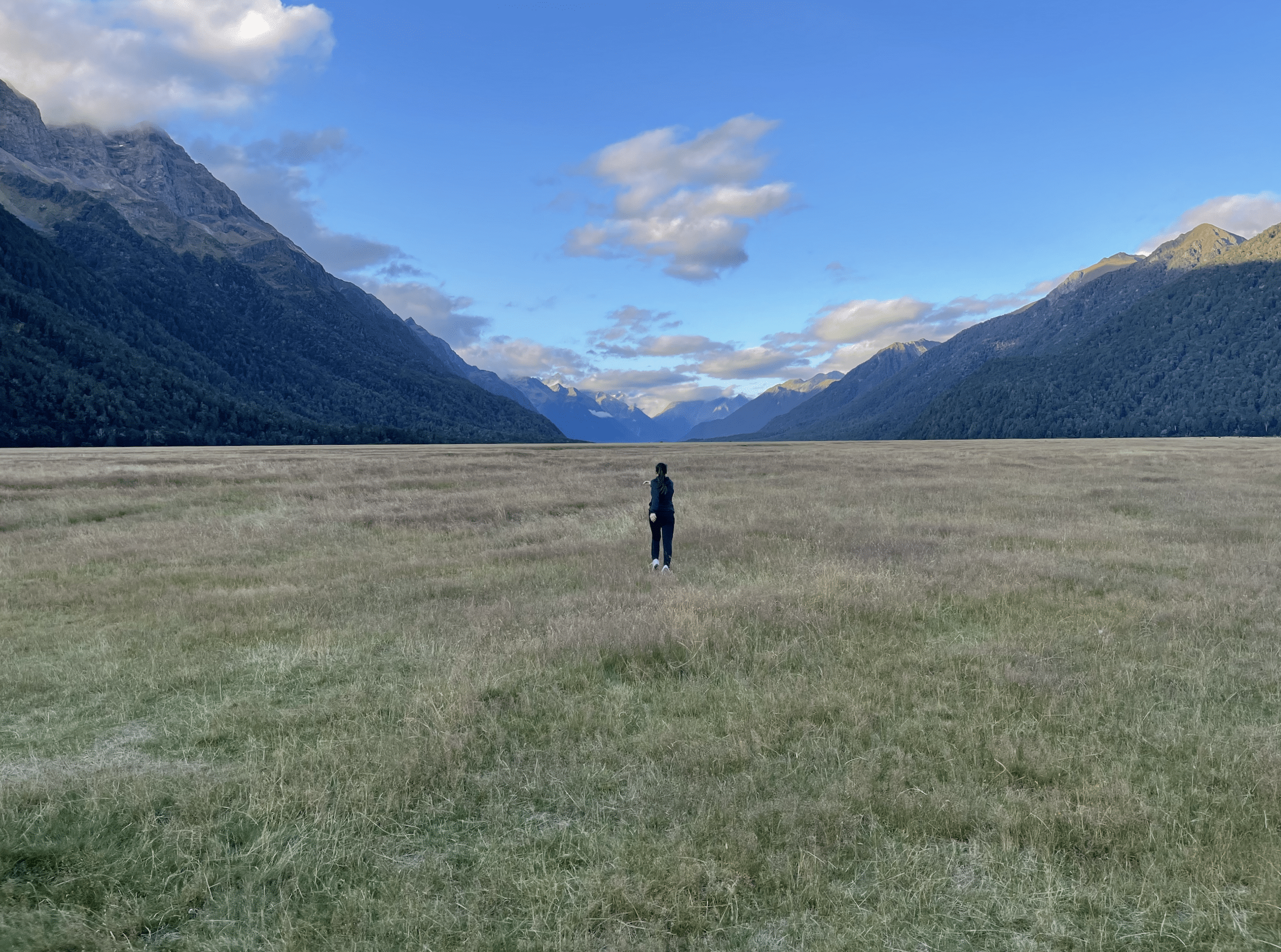 l eglinton valley dans le fiordland national park en nouvelle zelande