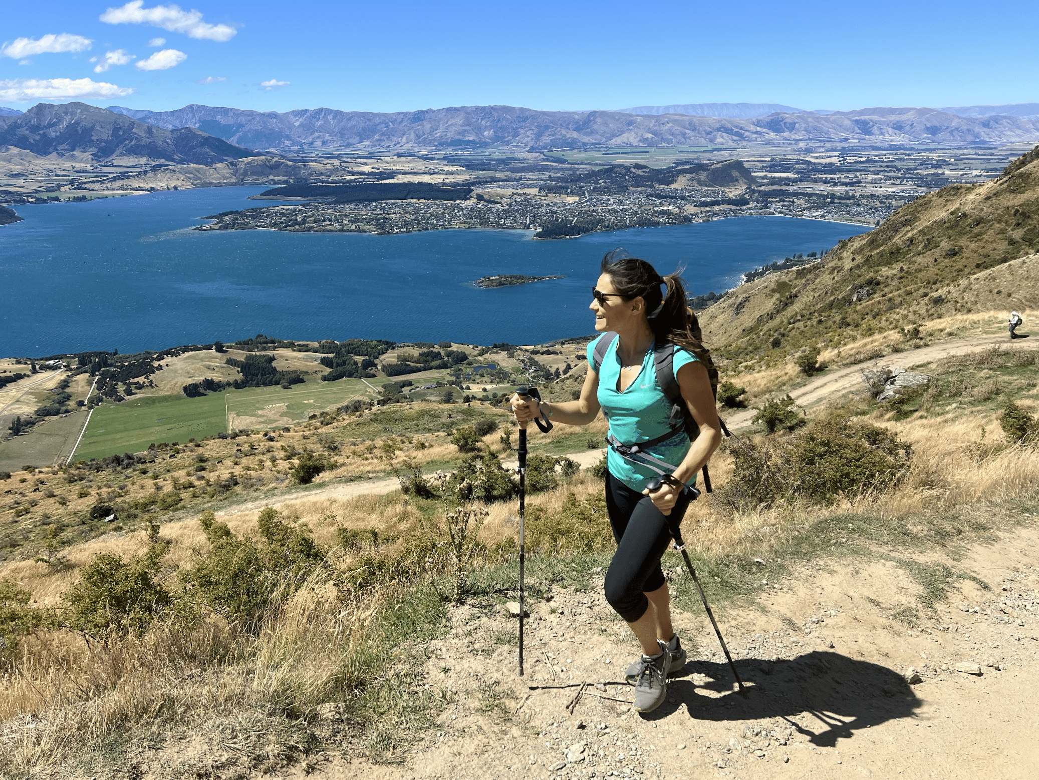 paysages lors de la randonnee du roys peak en nouvelle zelande