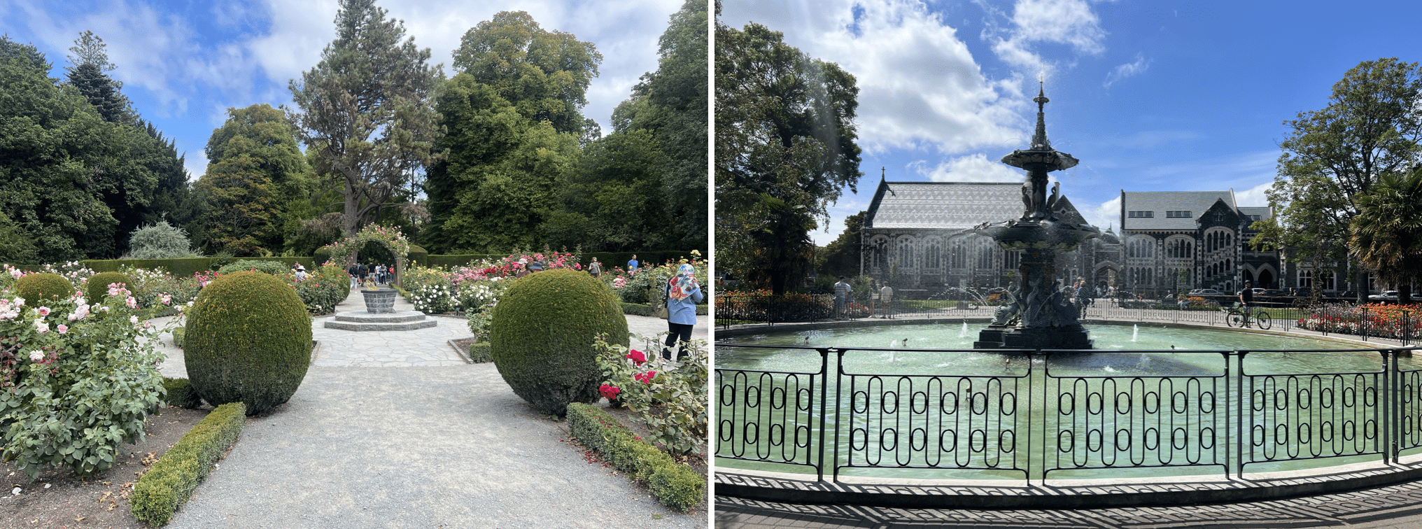 les jardins botaniques de christchurch en nouvelle zelande