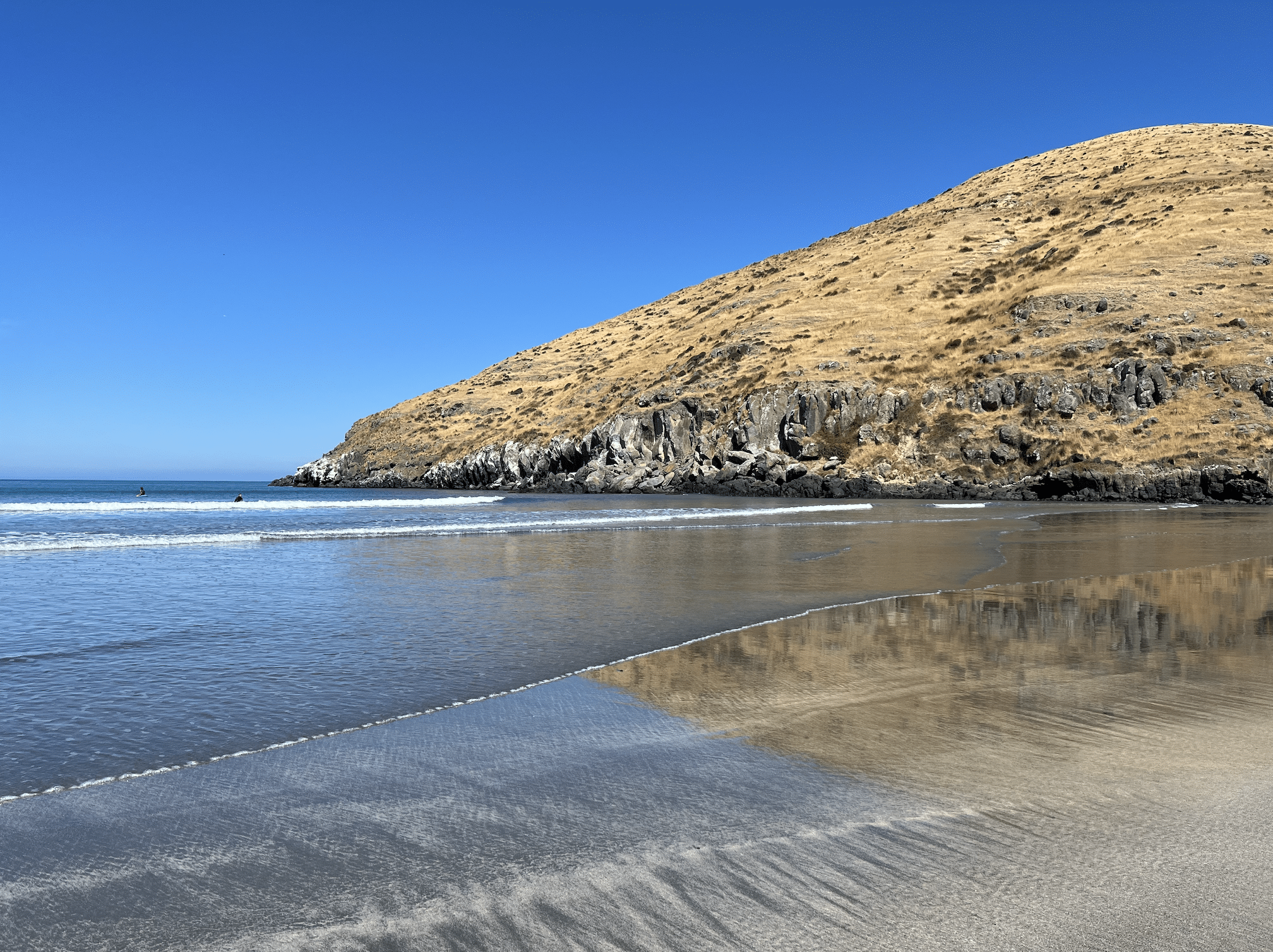 la plage de tumbledown bay dans la peninsule de banks en nouvelle zelande