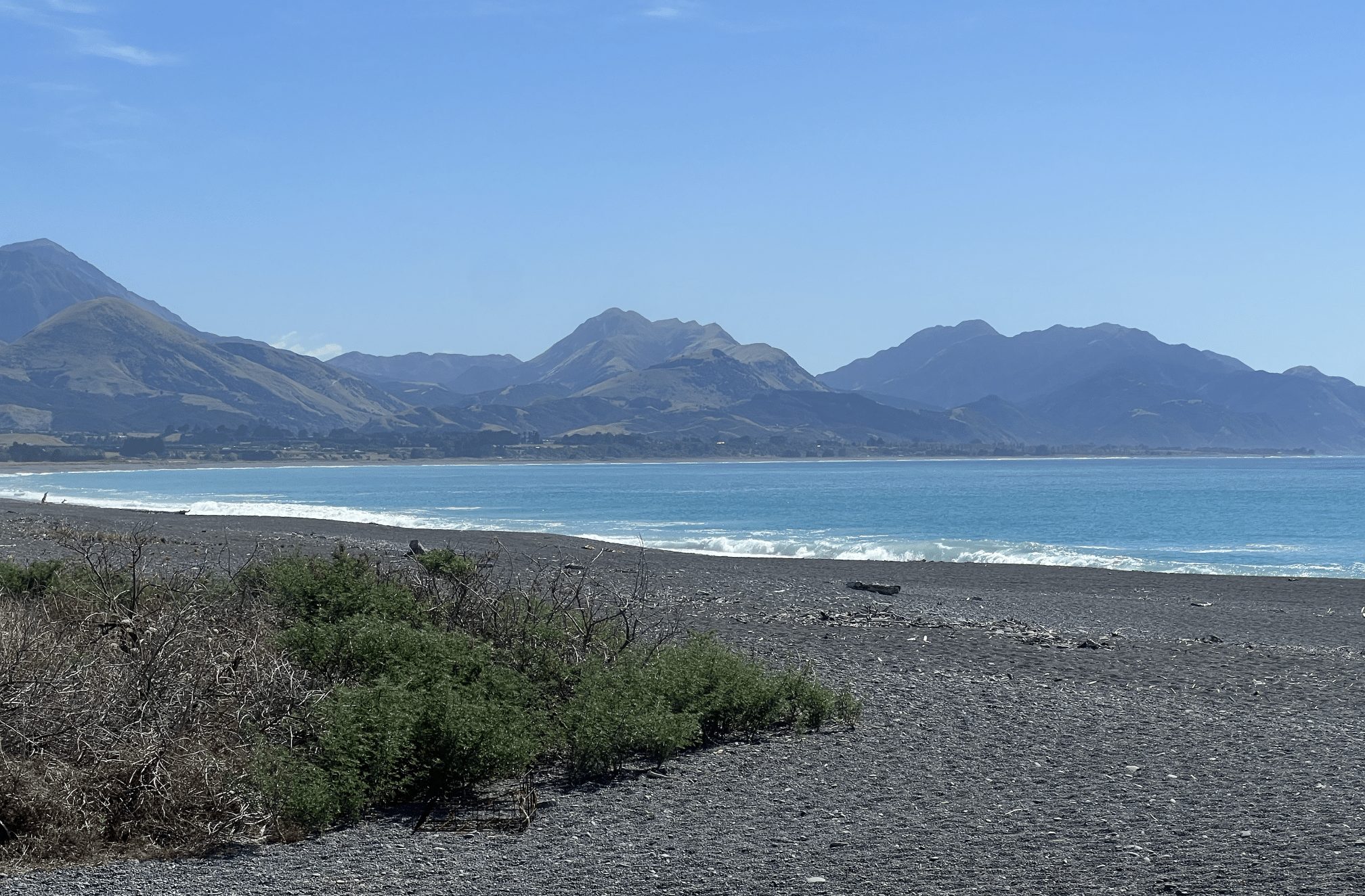 que faire lors d un circuit en nouvelle zelande : aller voir les baleines a kaikoura