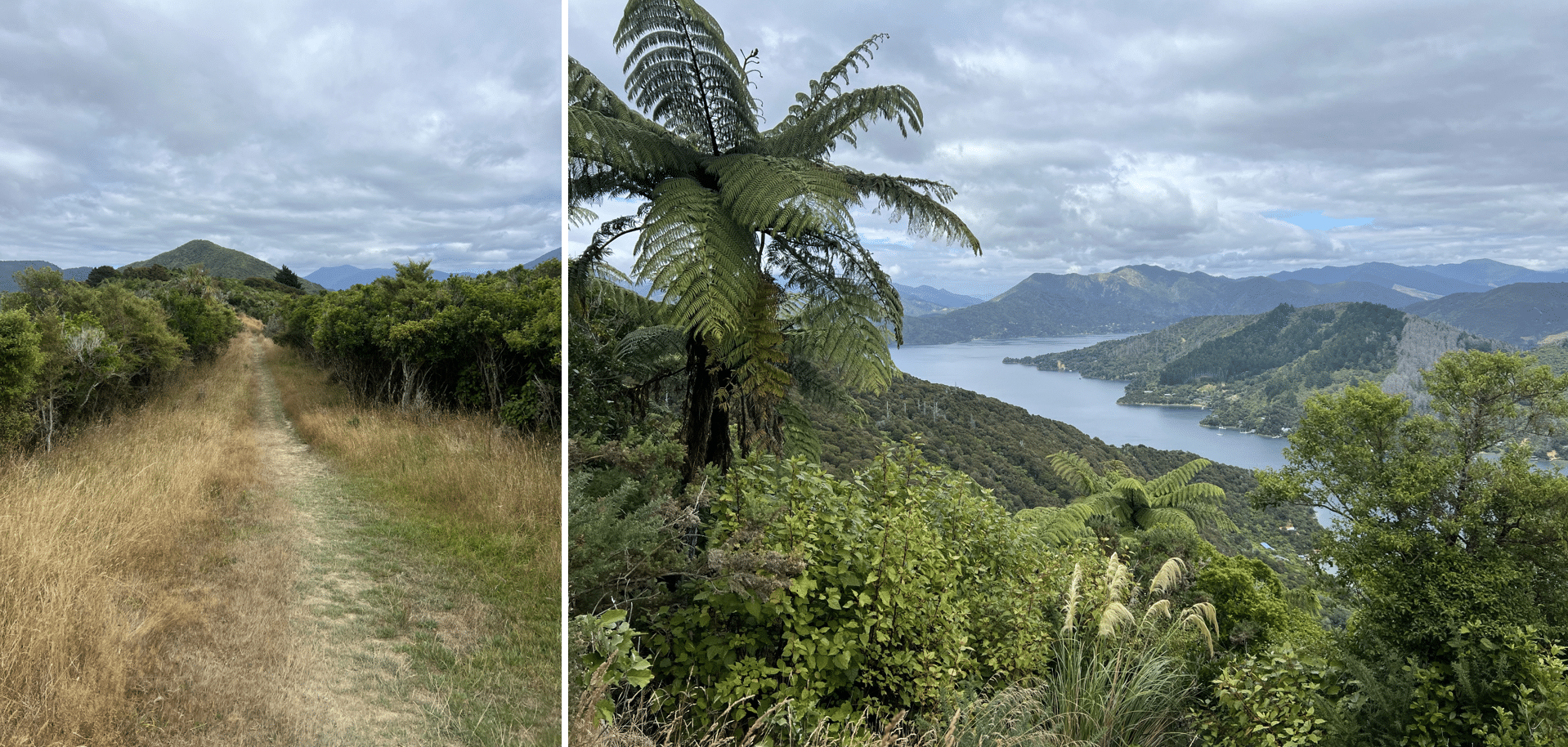 que faire lors d un circuit en nouvelle zelande : effectuer le queen charlotte track