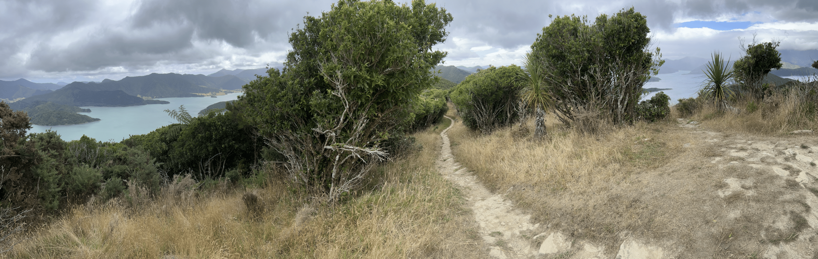 que faire lors d un circuit en nouvelle zelande : effectuer la randonnée de queen charlotte track