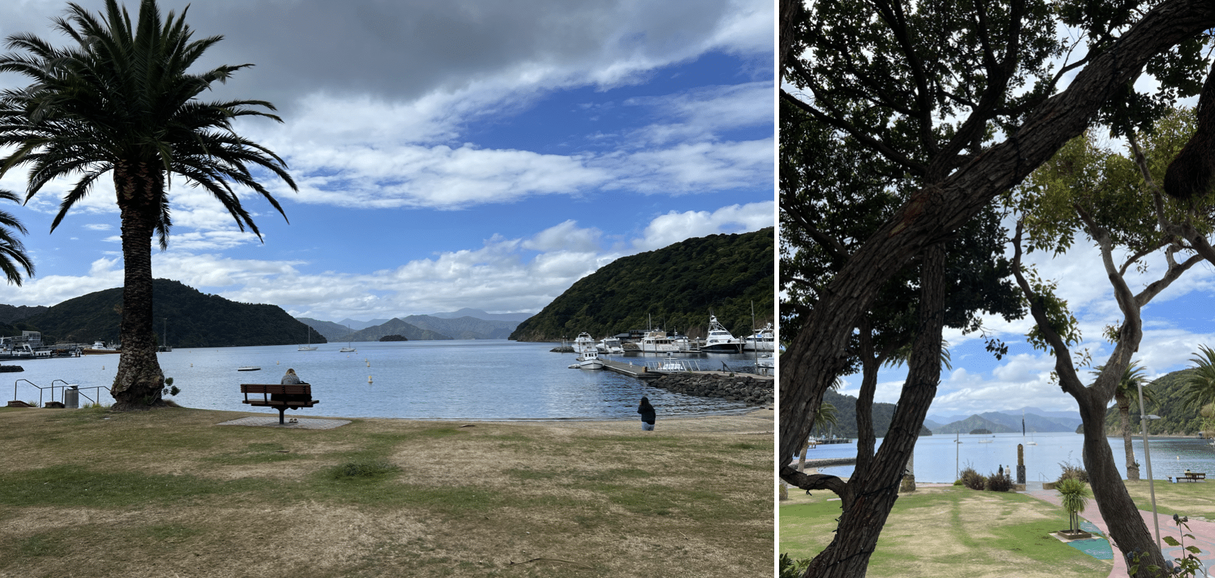 la ville de picton dans les marlborough sounds en nouvelle zelande