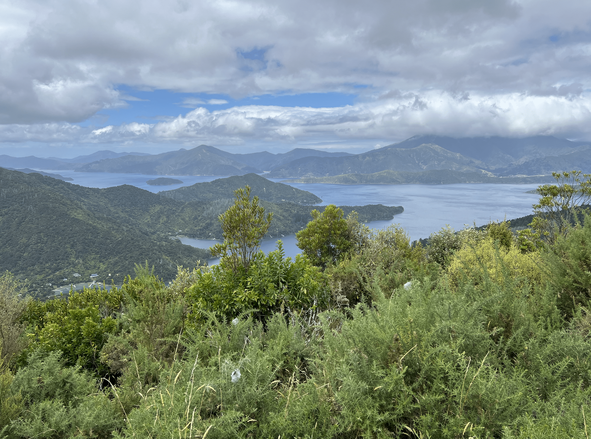 vue sur le queen charlotte sound en nouvelle zelande