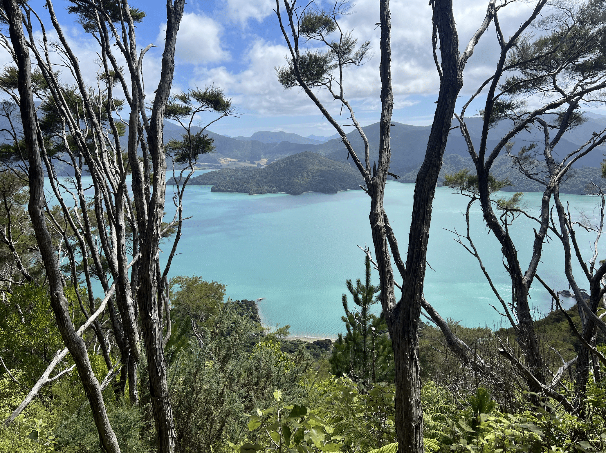 vue sur le keneperu sound en nouvelle zelande