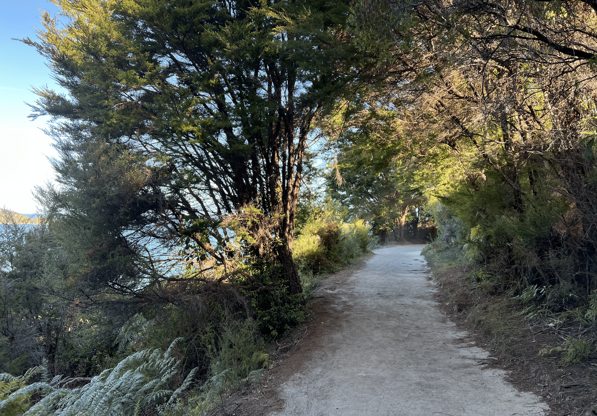 que visiter lors d un circuit en nouvelle zelande : visiter le parc national d abel tasman