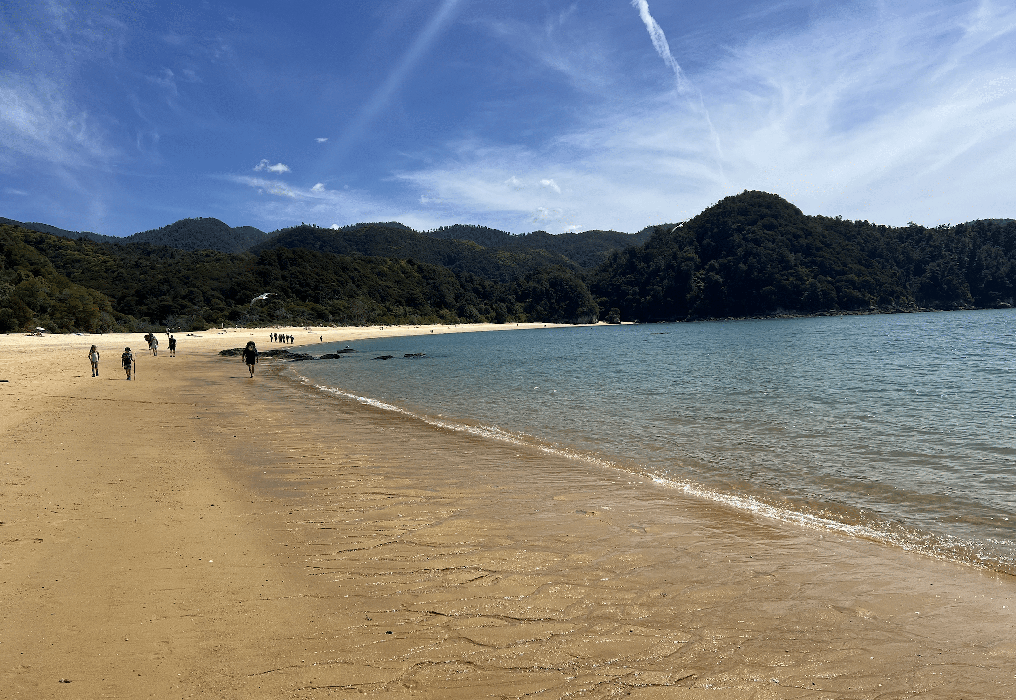 que visiter lors d un circuit en nouvelle zelande : visiter l abel tasman national park