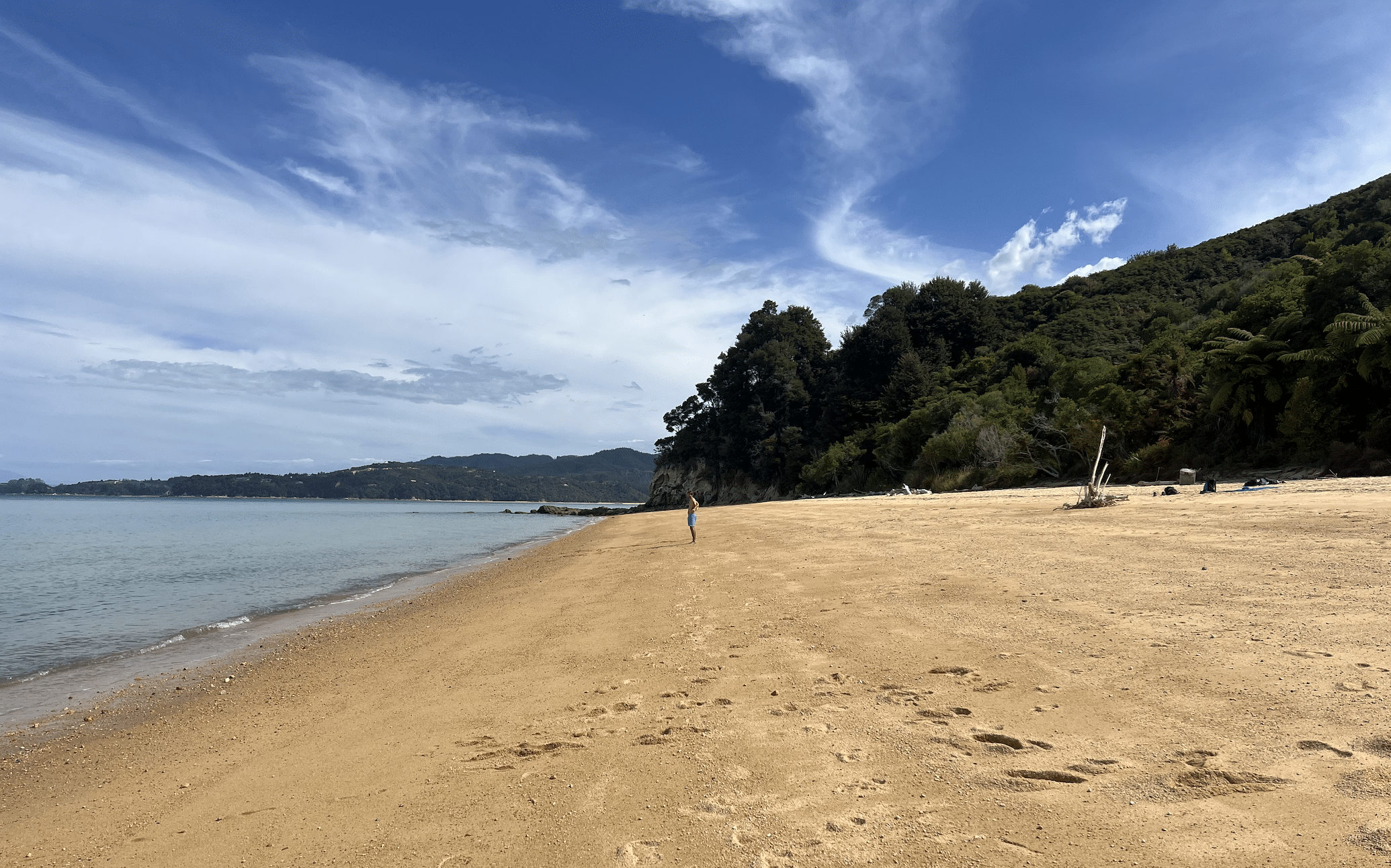 plage dans le parc d abel tasman en nouvelle zelande