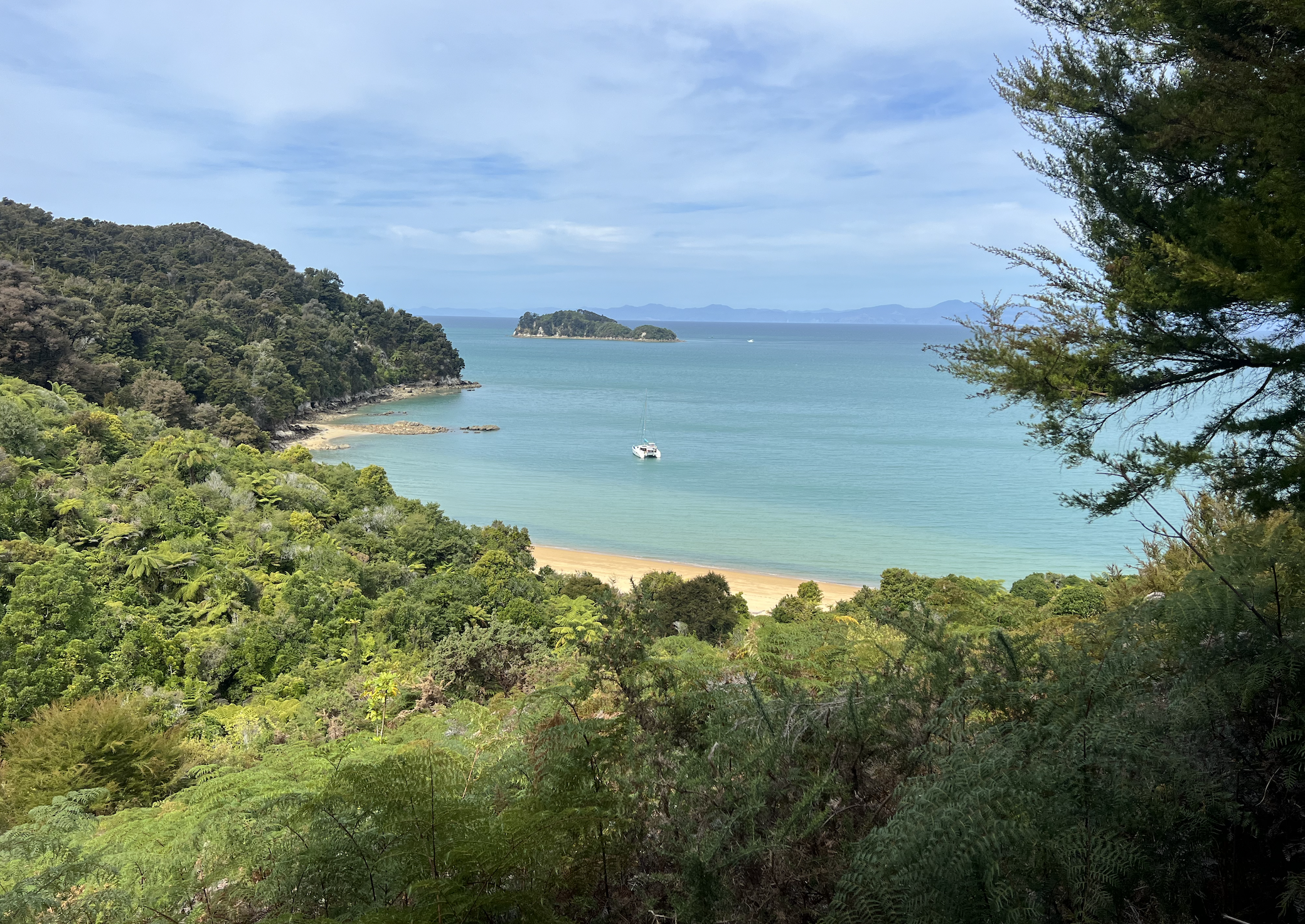 paysages du parc national d abel tasman sur l ile du sud de nouvelle zelande