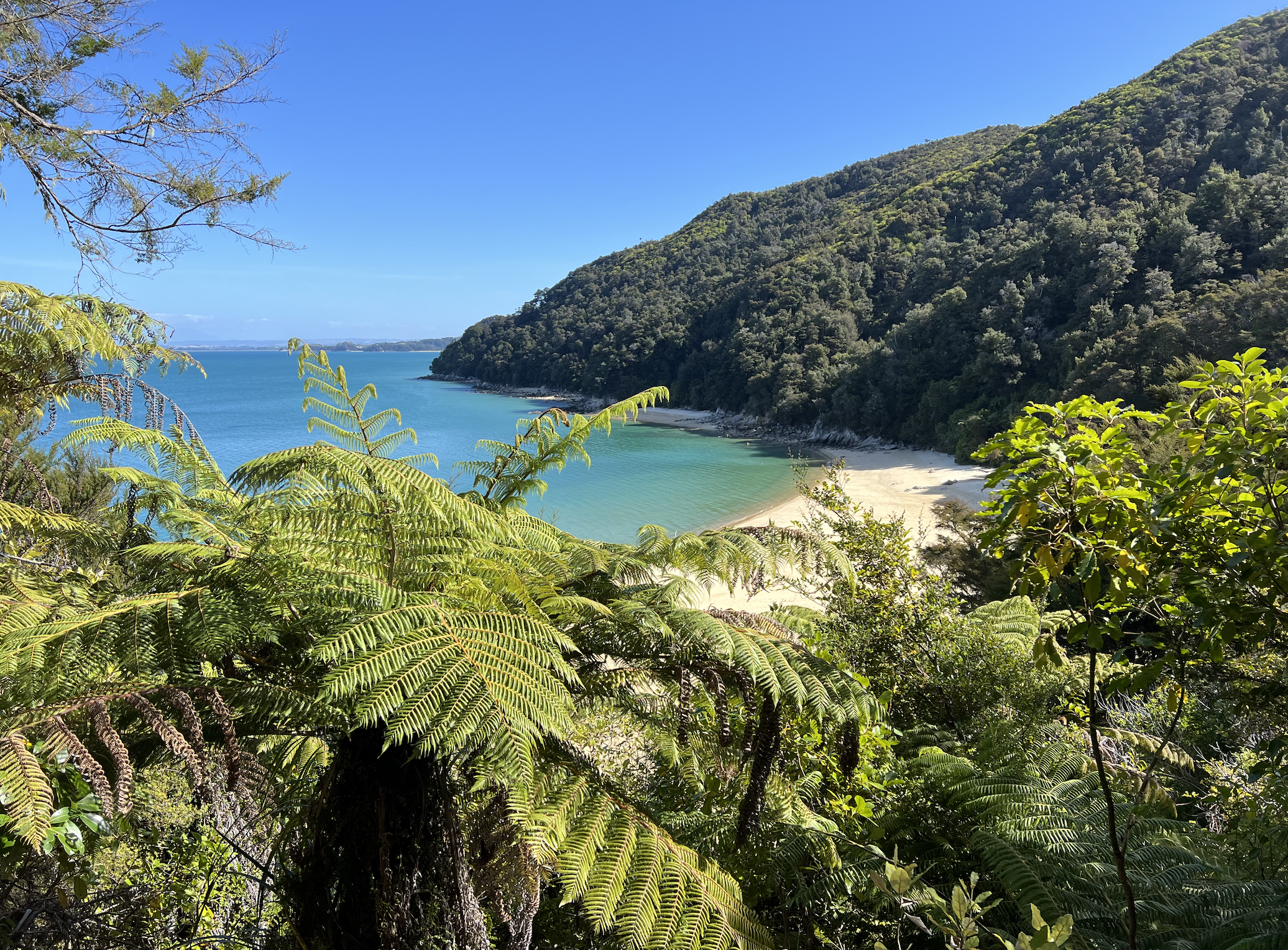 crique dans le parc d abel tasman en nouvelle zelande