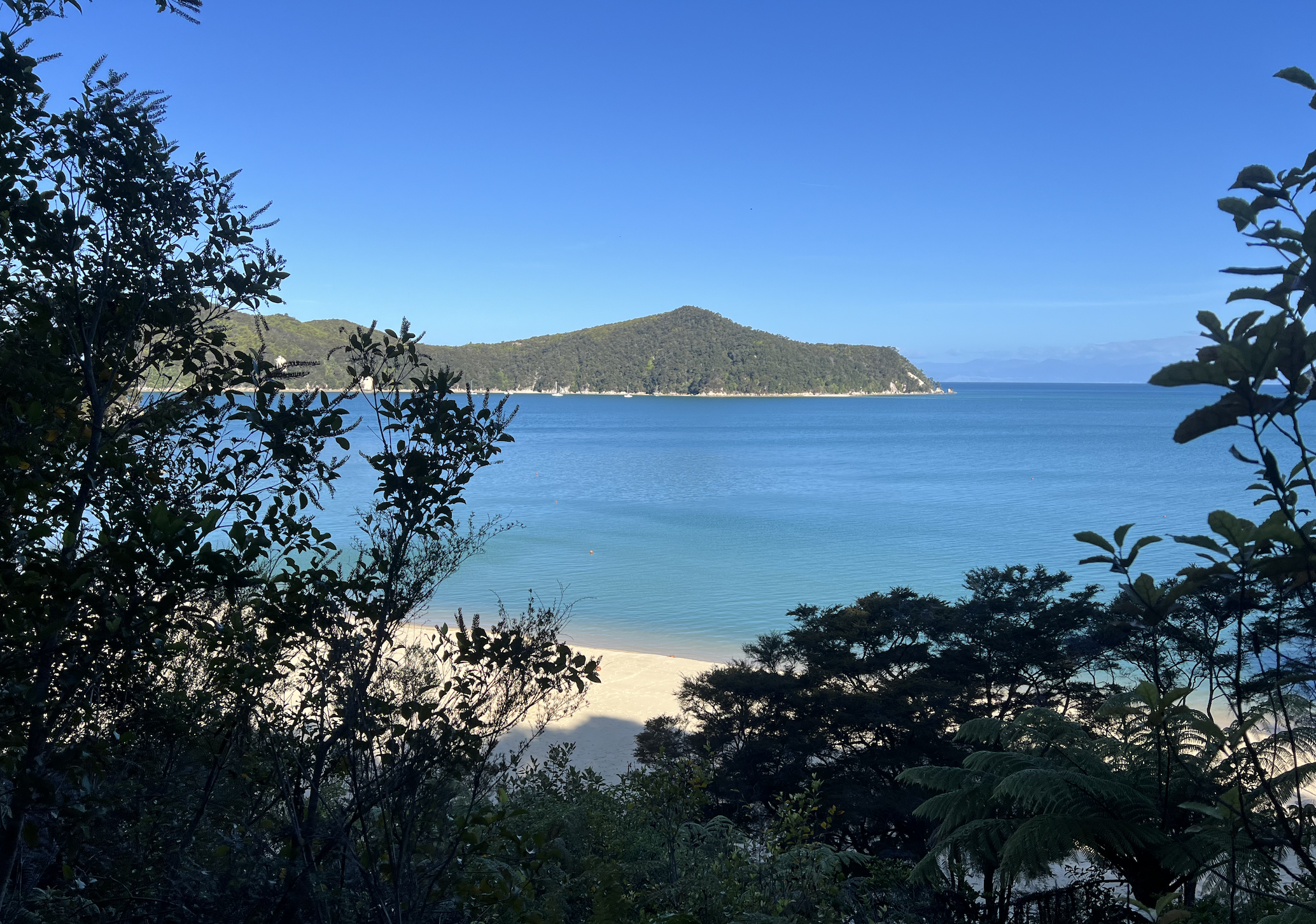 que faire lors d un circuit en nouvelle zelande : faire de la randonnee dans le parc national d abel tasman