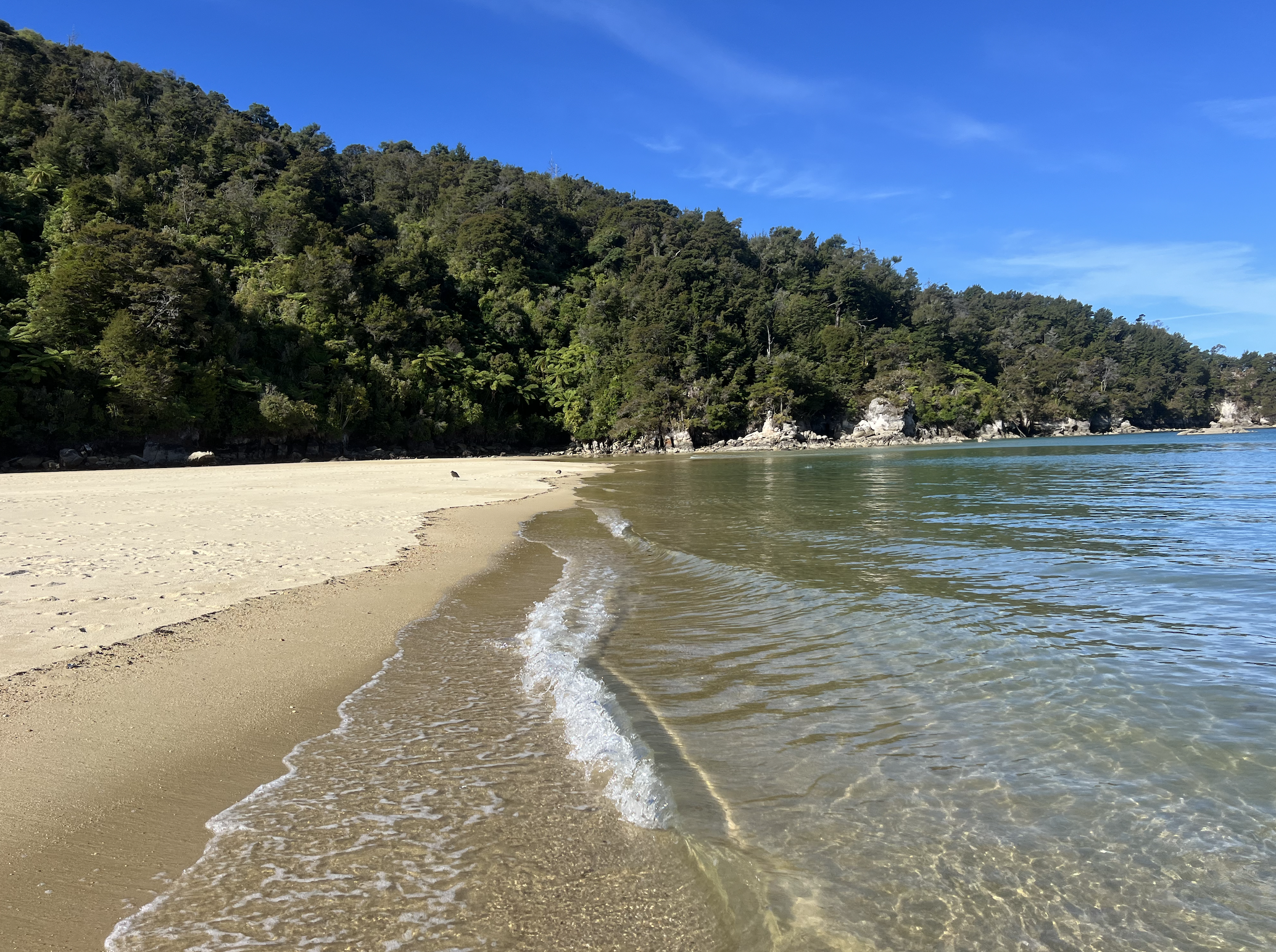 paysages de mer a abel tasman sur l ile du sud de nouvelle zelande